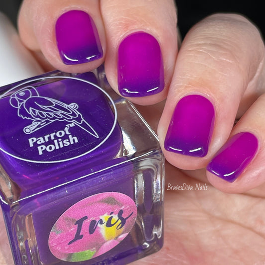 Parrot Polish Iris Color Changing Thermal Nail Lacquer  - Purple/Pink