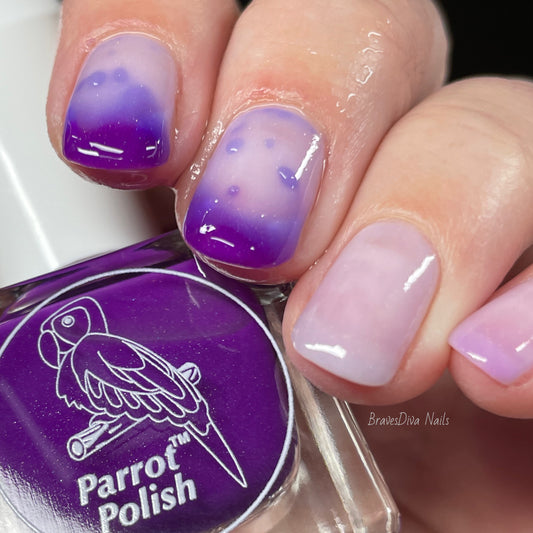 Parrot Polish Arauna Color Changing Thermal Nail Lacquer  - Purple/Nude