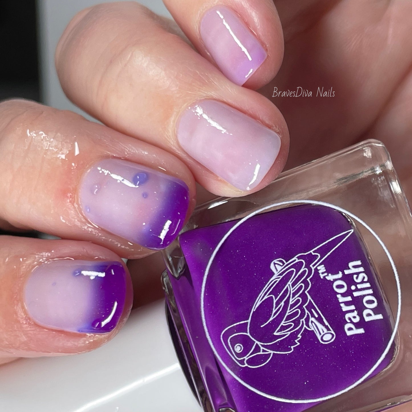 Parrot Polish Arauna Color Changing Thermal Nail Lacquer  - Purple/Nude