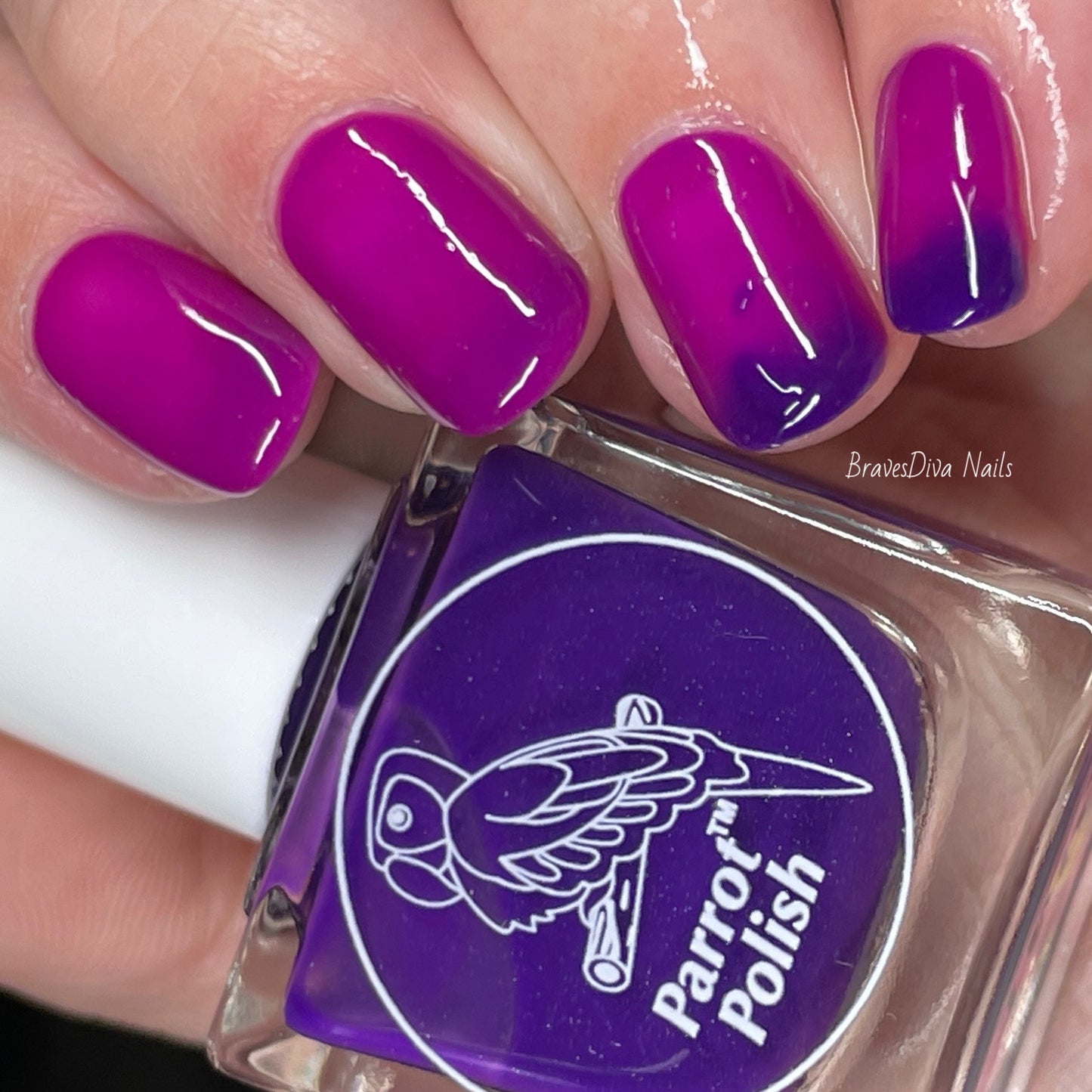 Parrot Polish Iris Color Changing Thermal Nail Lacquer  - Purple/Pink