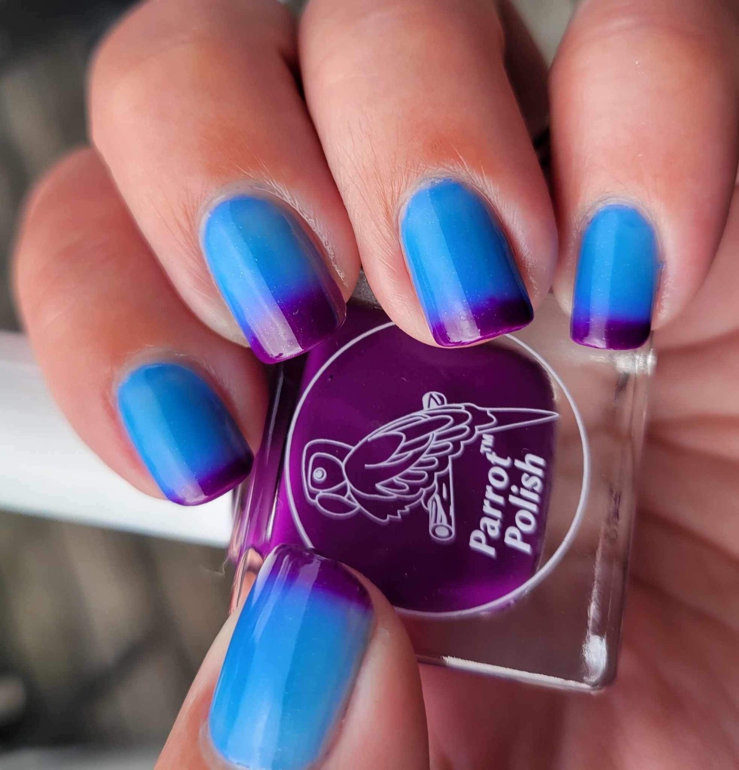 Parrot Polish Lavender Berry Bliss Color Changing Thermal Nail Lacquer - Purple/Blue