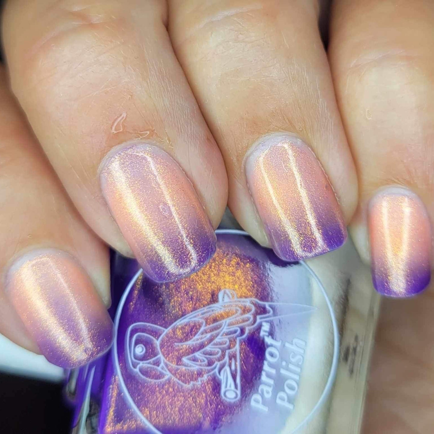 Parrot Polish Golden Plumeria Purple/Coral Thermal Nail Polish