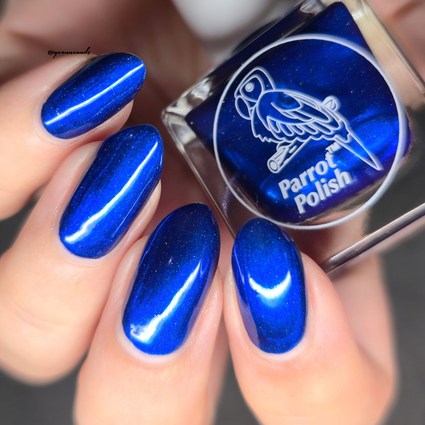 Parrot Polish Royal Splendor Blue Holographic Nail Polish