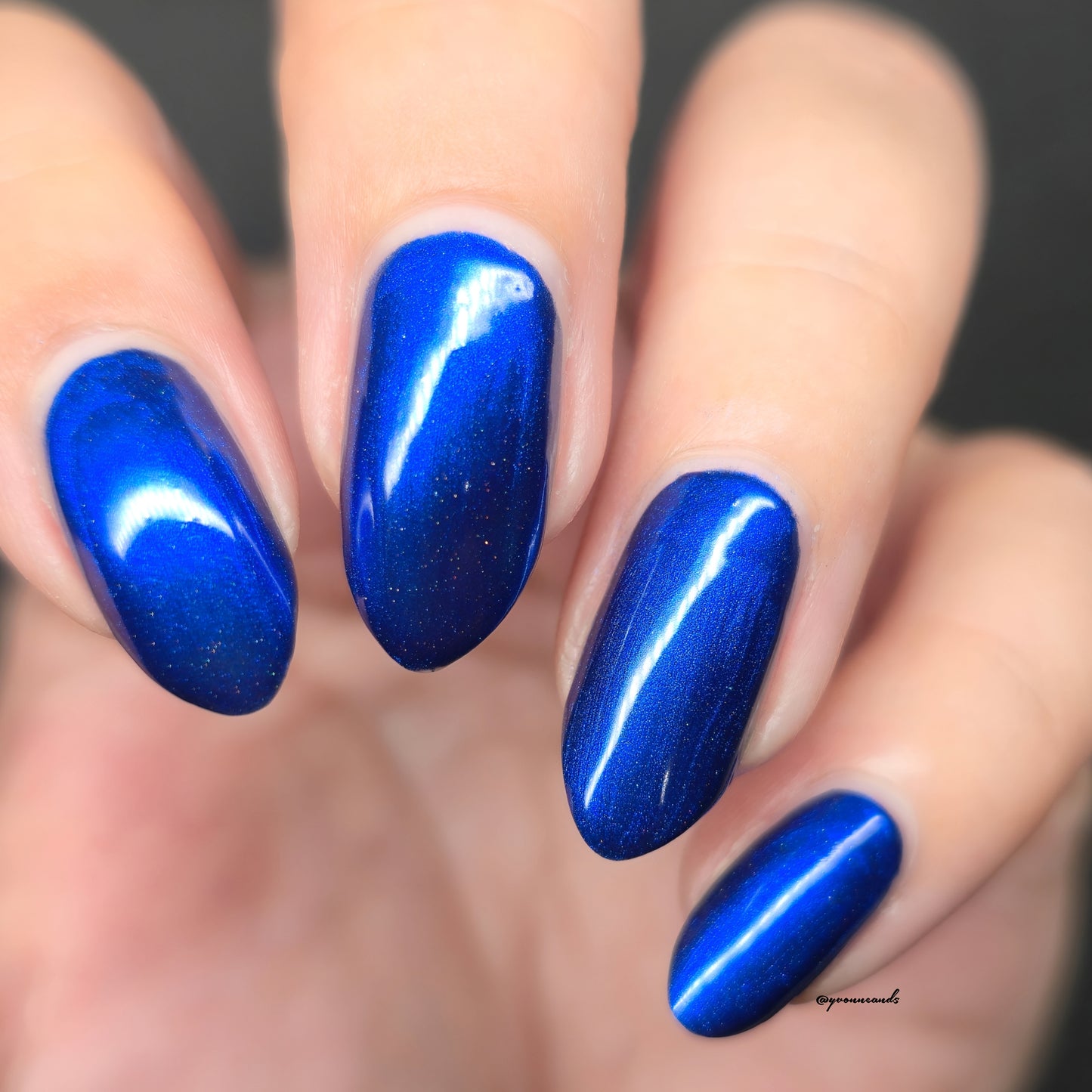 Parrot Polish Royal Splendor Blue Holographic Nail Polish