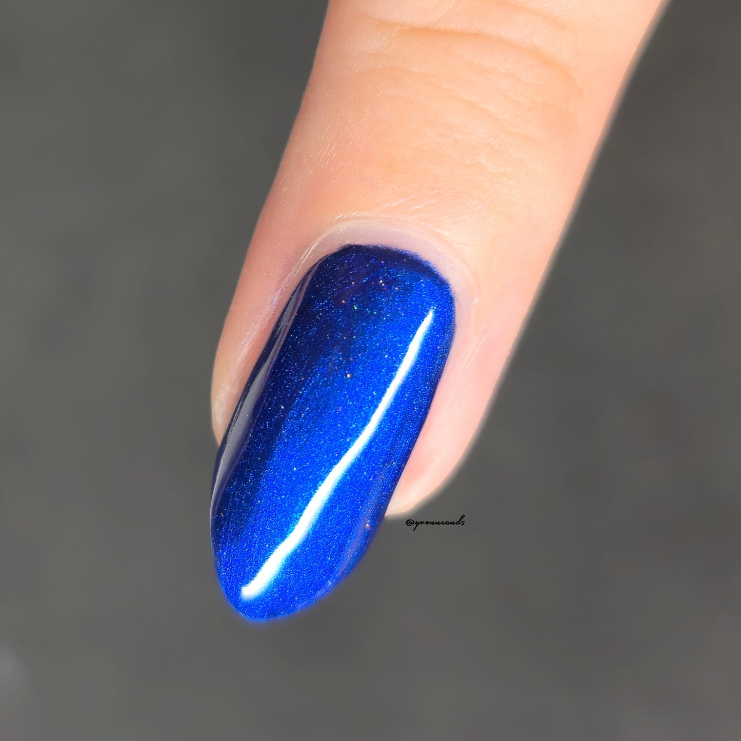 Parrot Polish Royal Splendor Blue Holographic Nail Polish