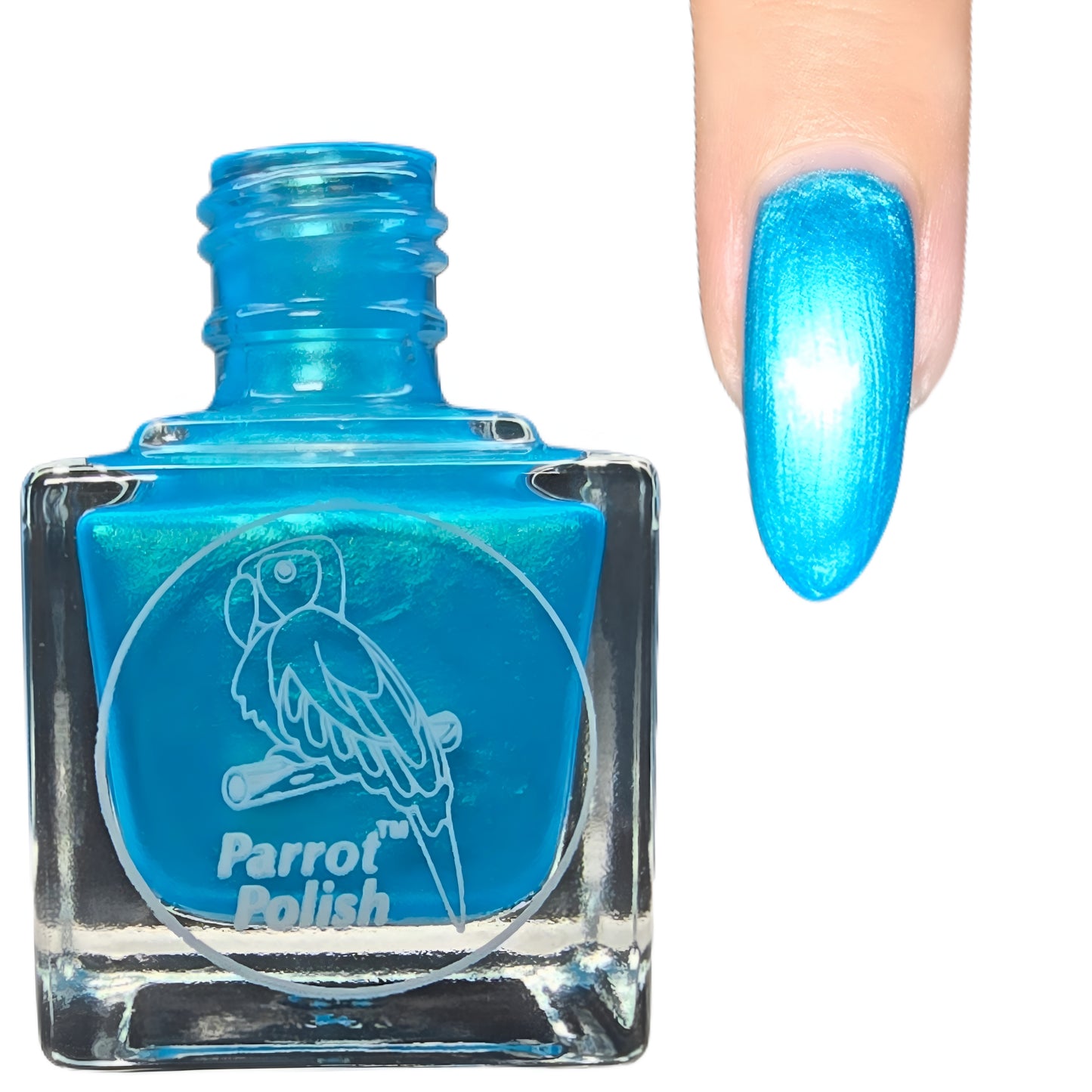 Parrot Polish Blue Macaw Teal Shimmer Nail Polish