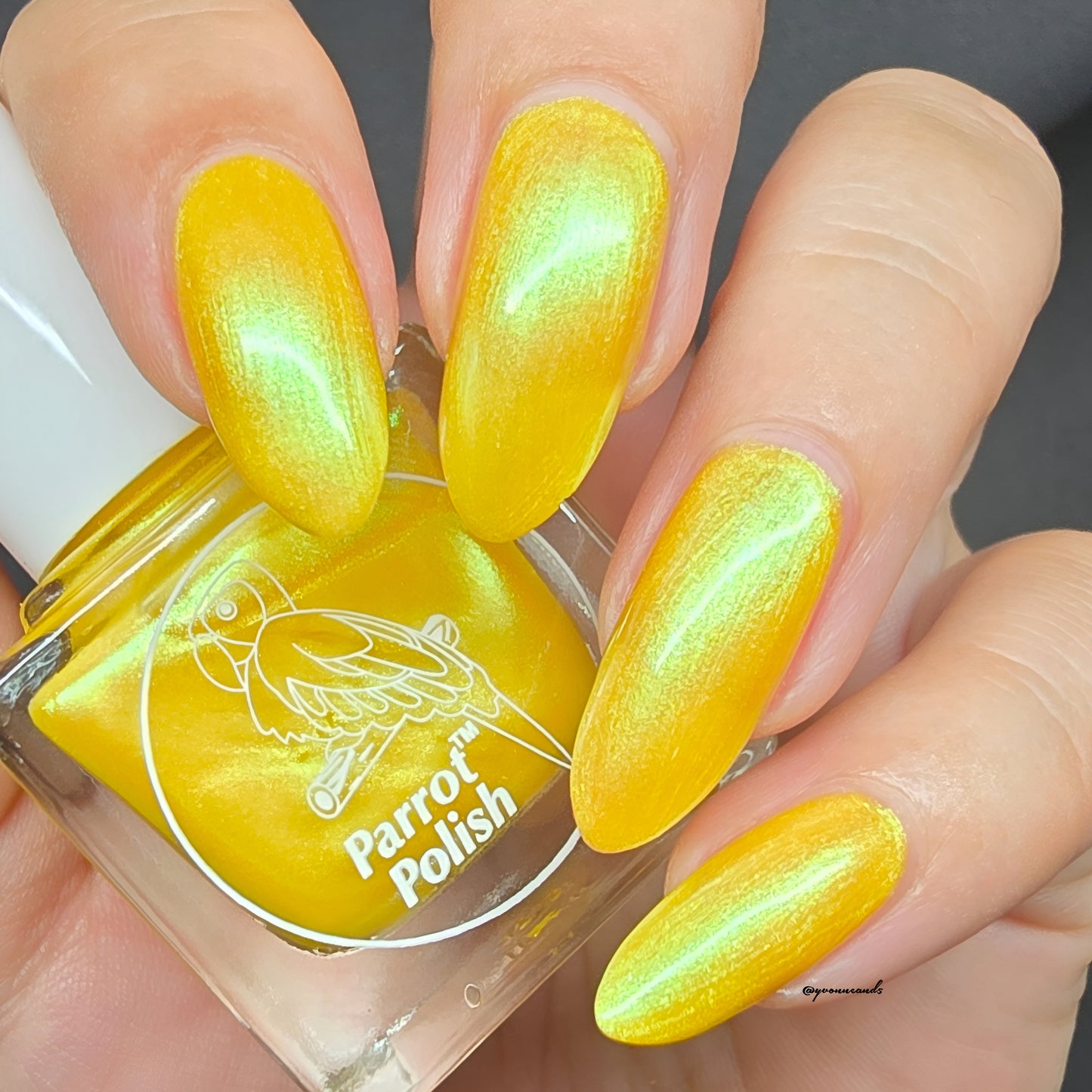 Parrot Polish Yellow Submarine 60s Shimmer Nail lacquer Yellow/Gold