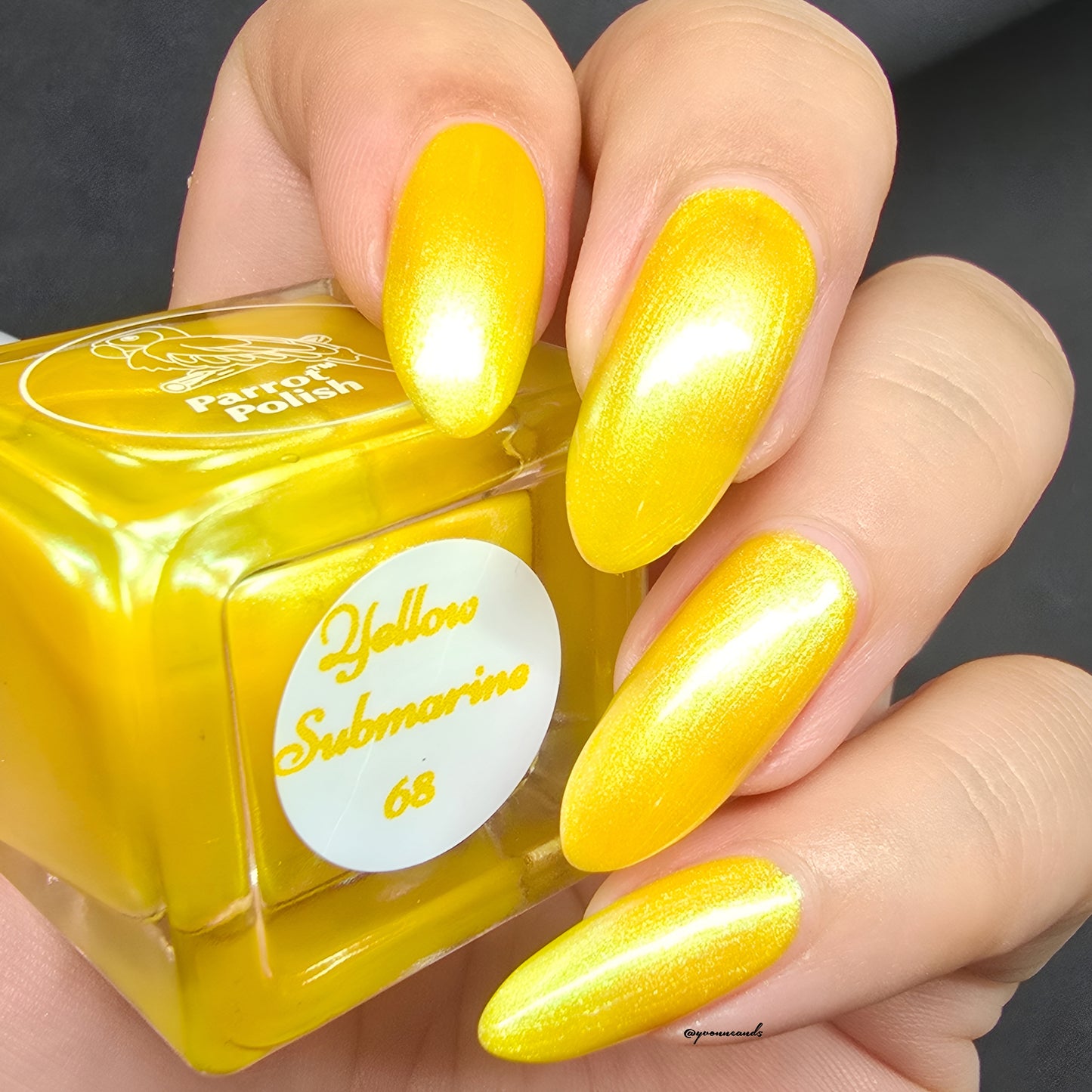Parrot Polish 60s Shimmer Collection Nail Lacquer Pink/Green/Blue/Yellow/Orange