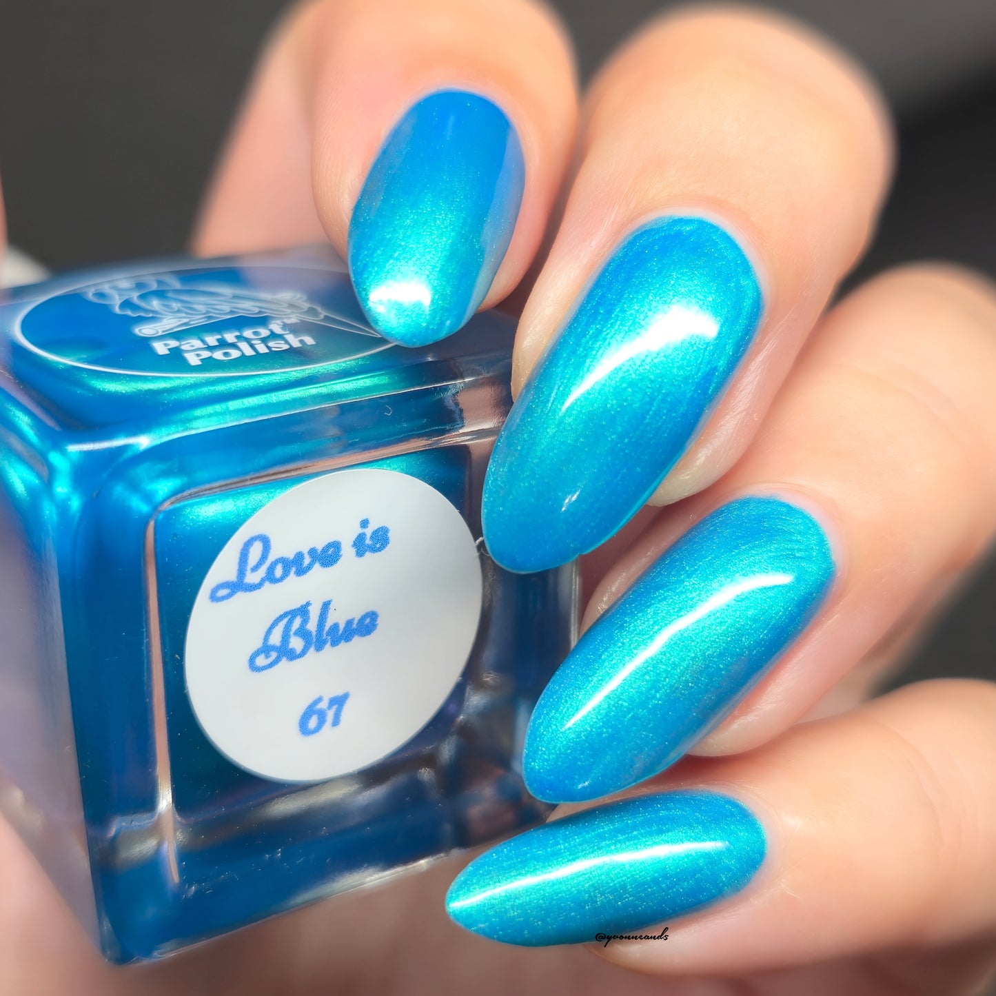 Parrot Polish 60s Shimmer Collection Nail Lacquer Pink/Green/Blue/Yellow/Orange
