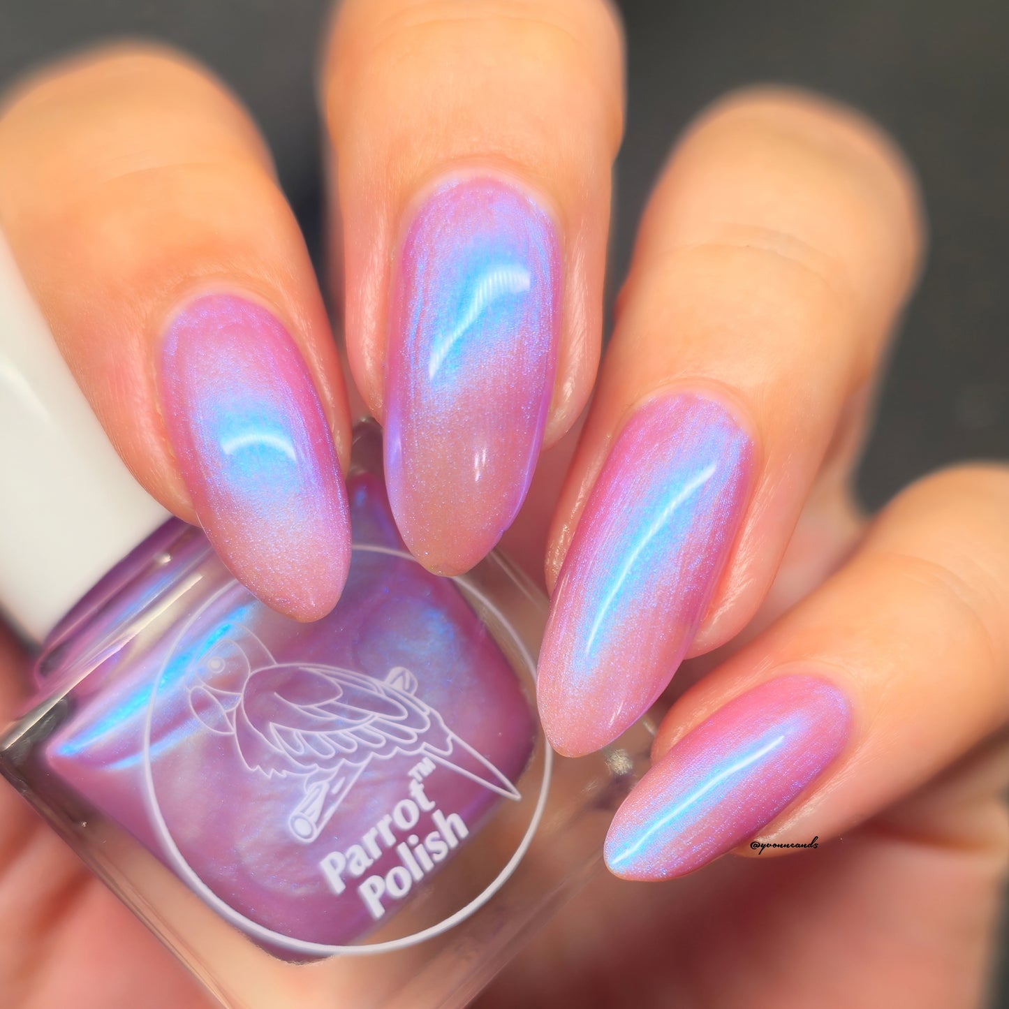 Parrot Polish Hush 60s Shimmer Nail Lacquer Purple/ Blue Shimmer
