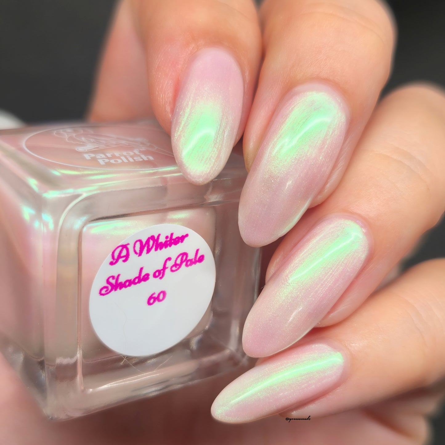 Parrot Polish 60s Shimmer Collection Nail Lacquer Pink/Green/Blue/Yellow/Orange