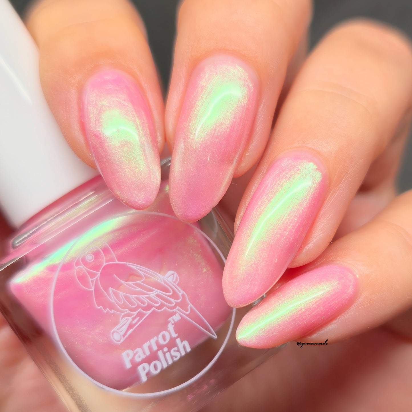 Parrot Polish Pink Shoelaces 60s Shimmer Nail Lacquer Pink/Gold shimmer