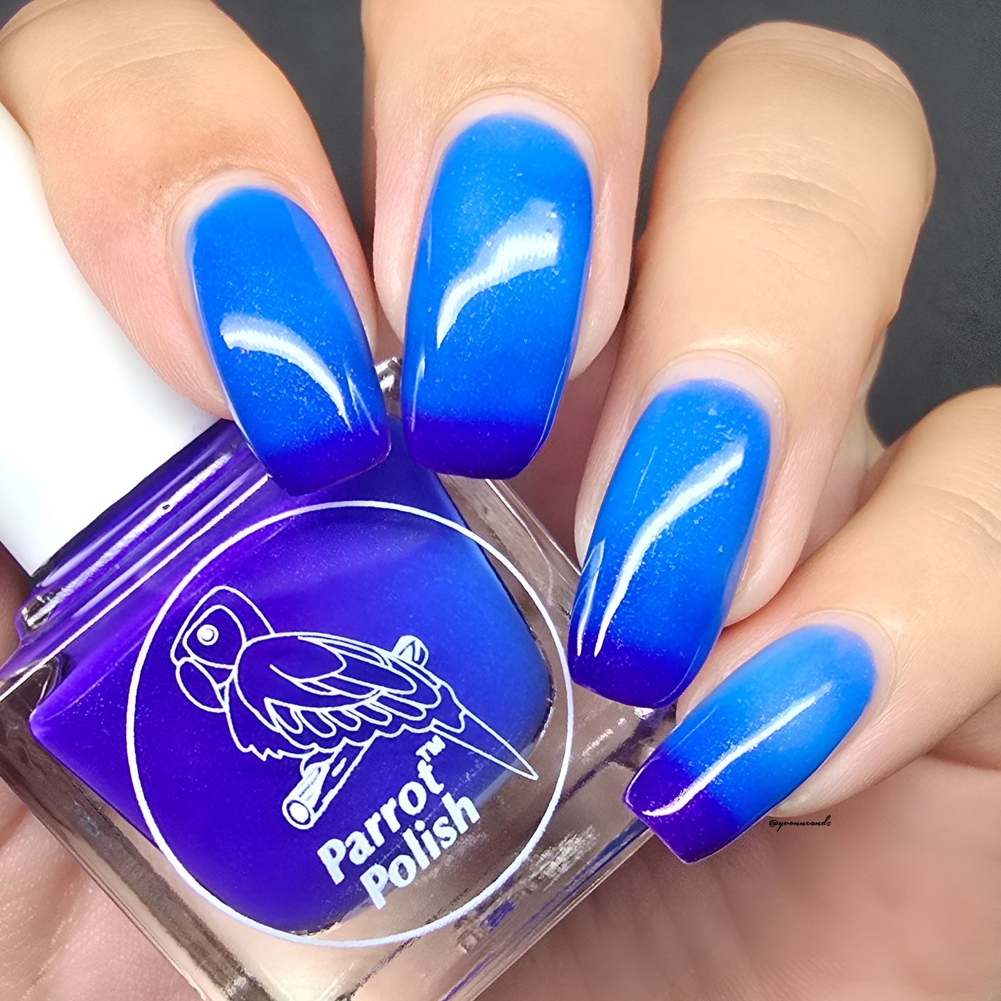 Parrot Polish Isabella Color Changing Thermal Nail Lacquer - Purple/Blue