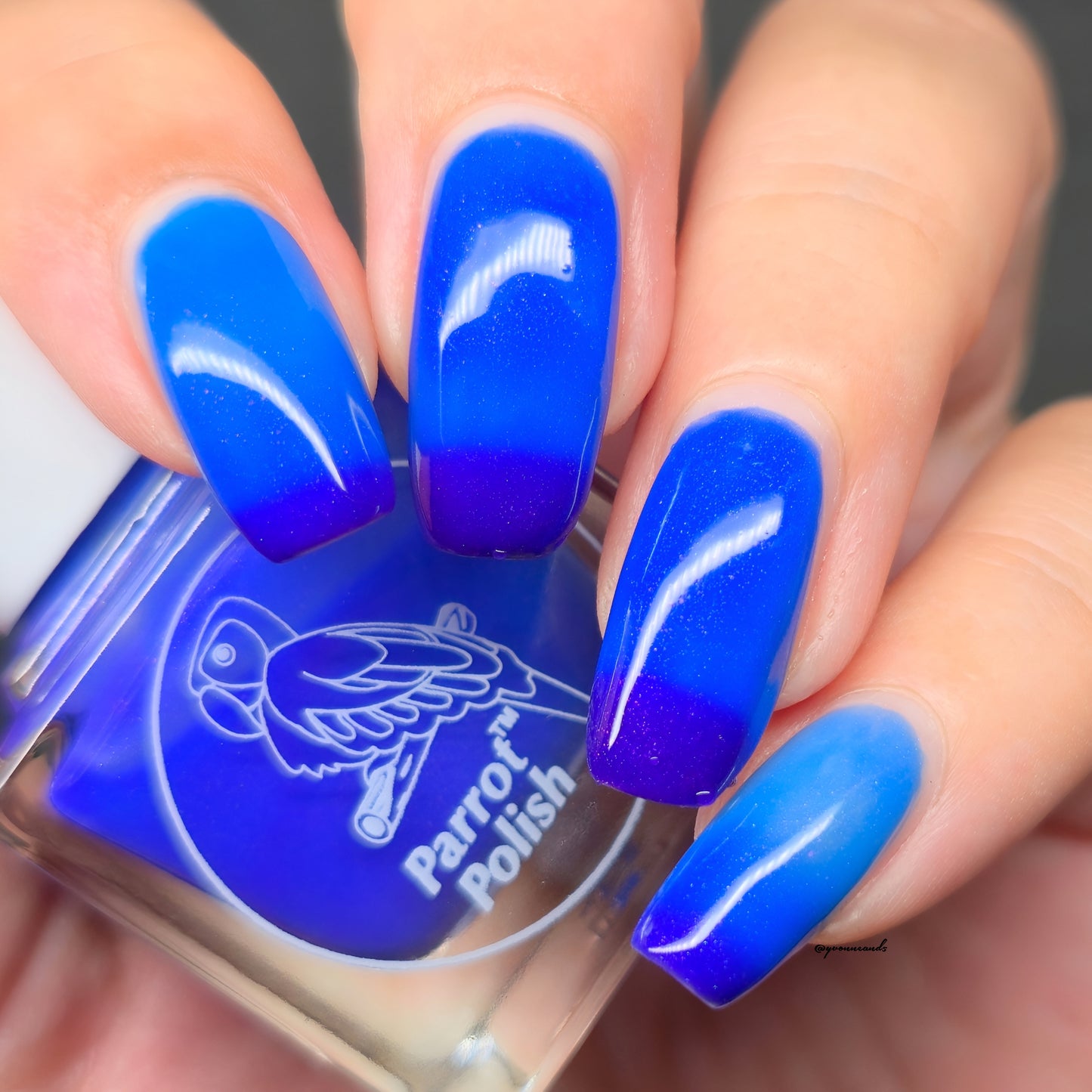 Parrot Polish Isabella Color Changing Thermal Nail Lacquer - Purple/Blue