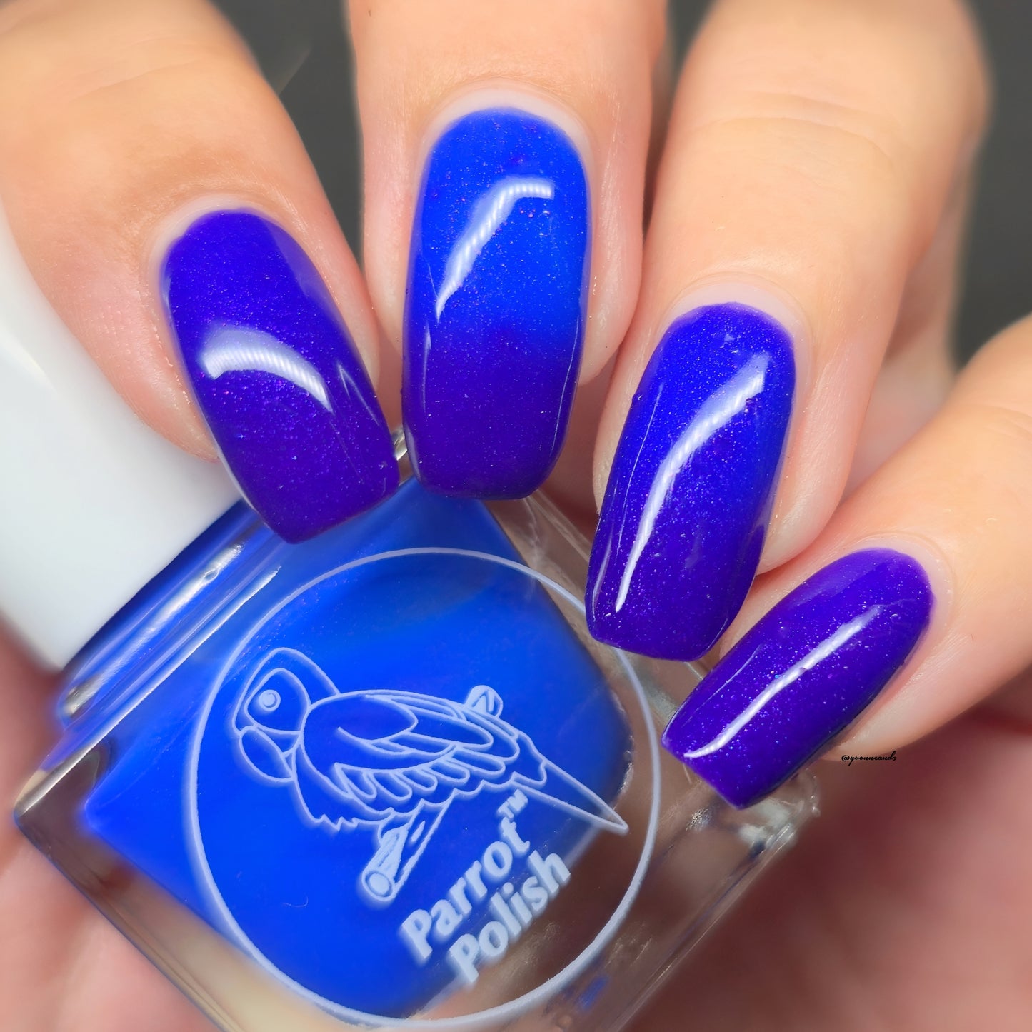 Parrot Polish Isabella Color Changing Thermal Nail Lacquer - Purple/Blue
