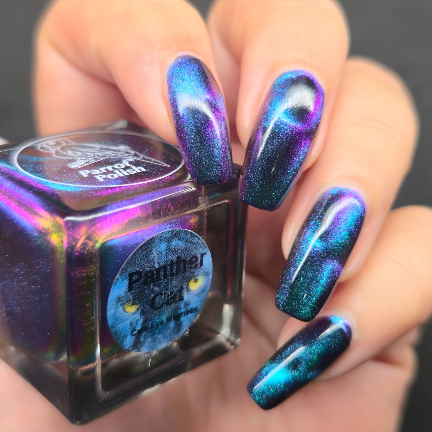 Parrot Polish Panther Cat Magnetic Multichrome Nail Lacquer Purple/Blue/Black