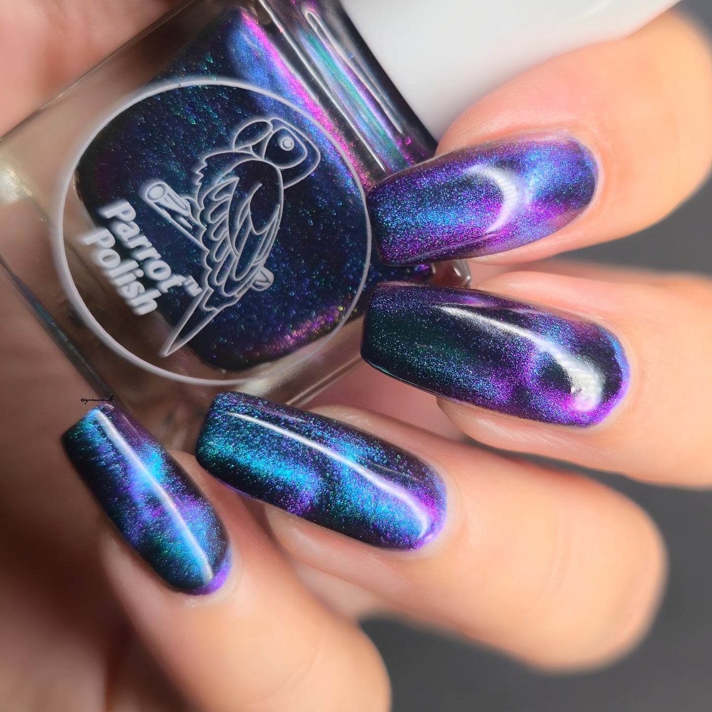 Parrot Polish Chantilly Cat Magnetic Multichrome Nail Lacquer Purple/Green/Blue/Black