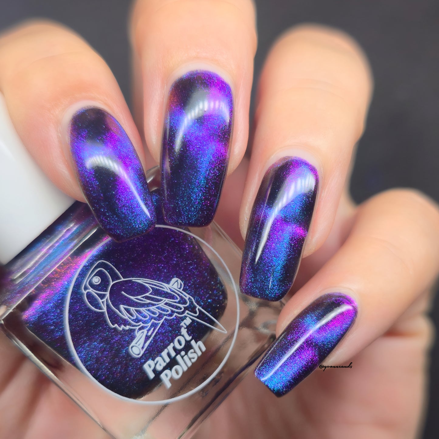 Parrot Polish Chantilly Cat Magnetic Multichrome Nail Lacquer Purple/Green/Blue/Black