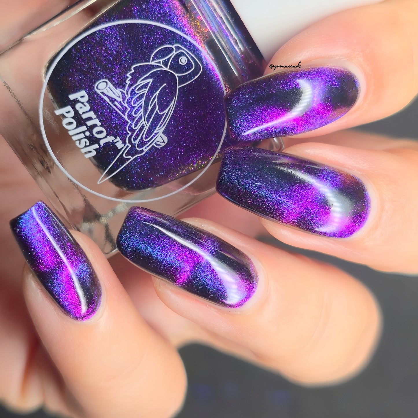 Parrot Polish Chantilly Cat Magnetic Multichrome Nail Lacquer Purple/Green/Blue/Black