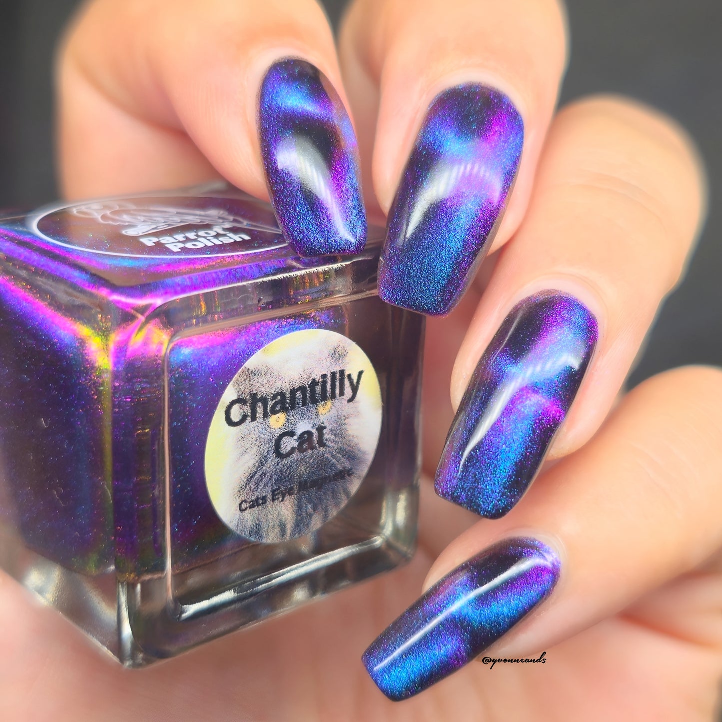 Parrot Polish Chantilly Cat Magnetic Multichrome Nail Lacquer Purple/Green/Blue/Black