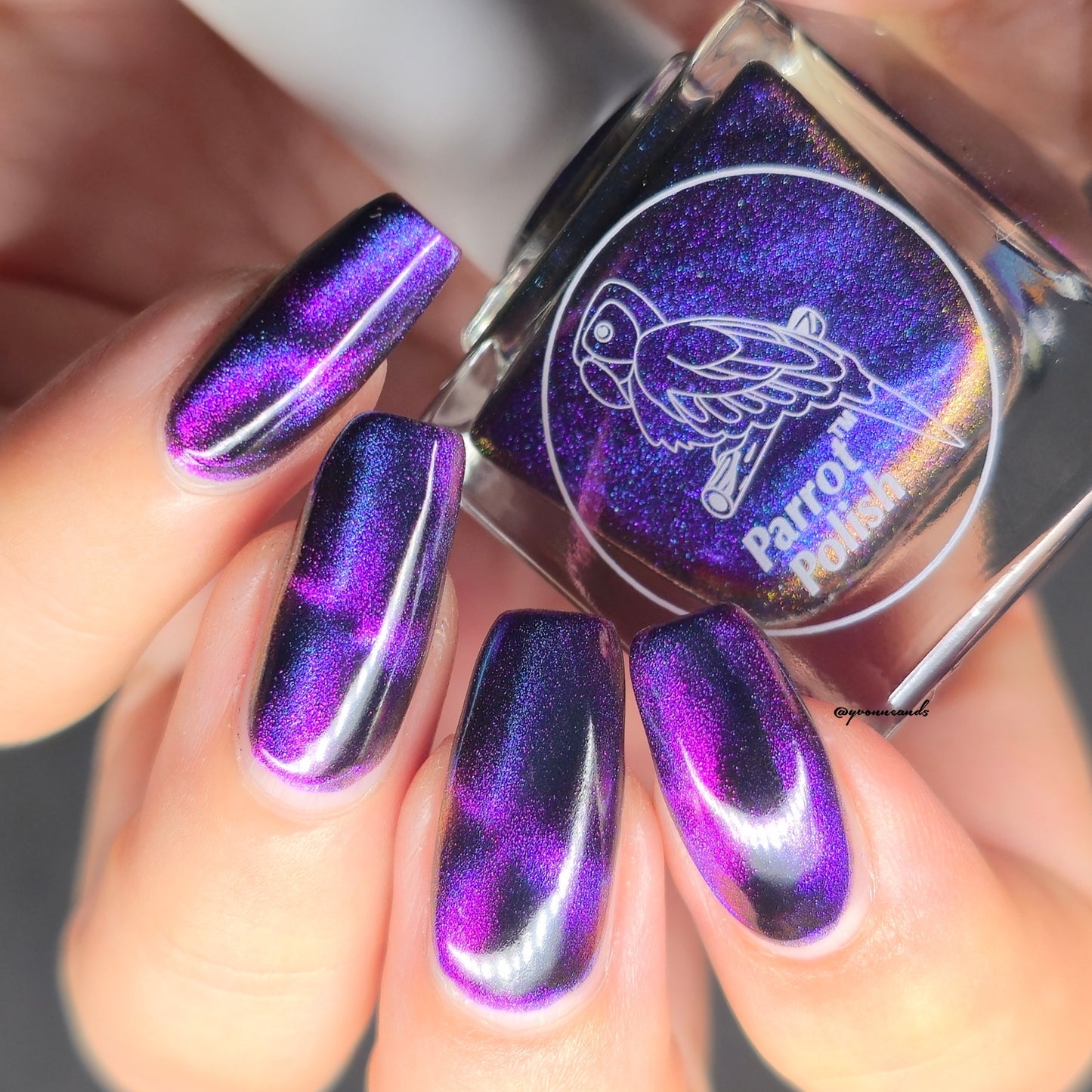 Parrot Polish Chantilly Cat Magnetic Multichrome Nail Lacquer Purple/Green/Blue/Black