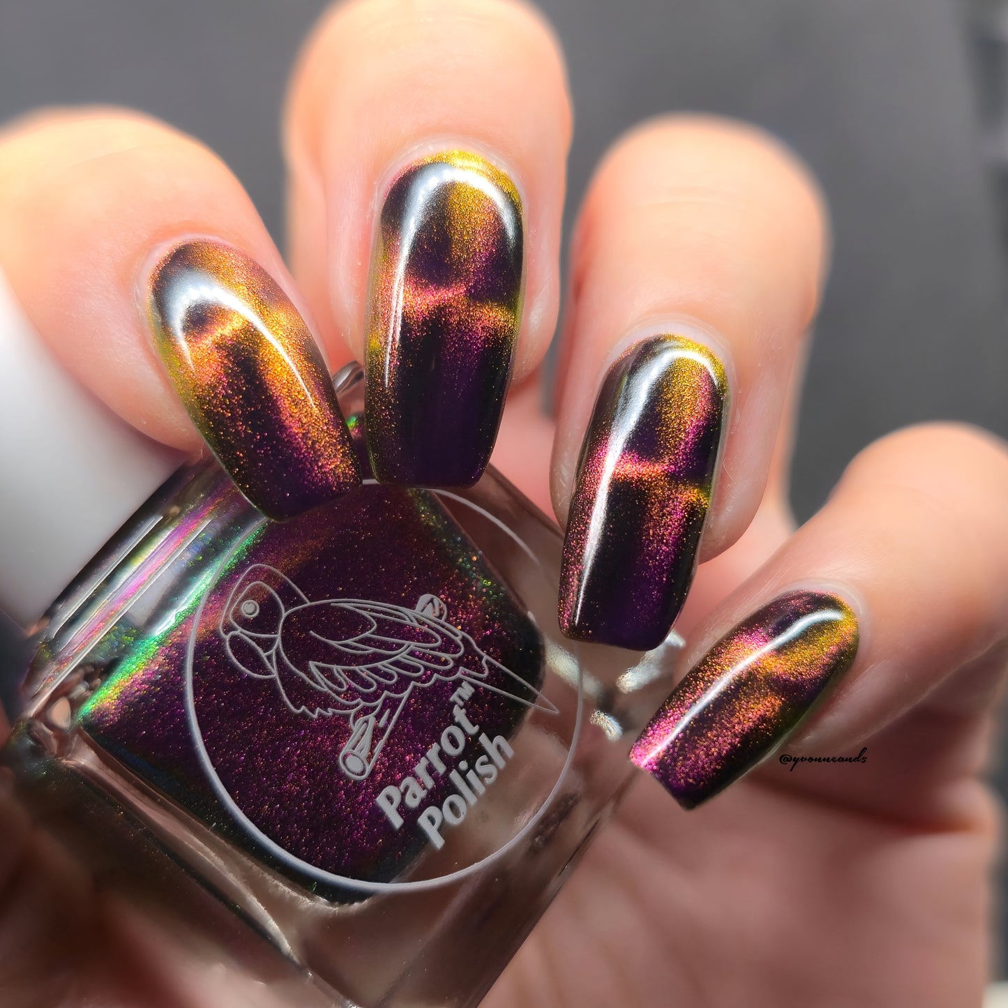 Parrot Polish Cheetah Cat Magnetic Multichrome Nail Lacquer Purple/Pink/Black