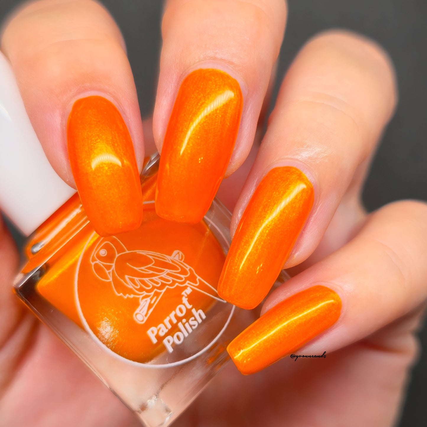Parrot Polish Pumpkin Spice Shimmer Nail Lacquer Gold/Orange