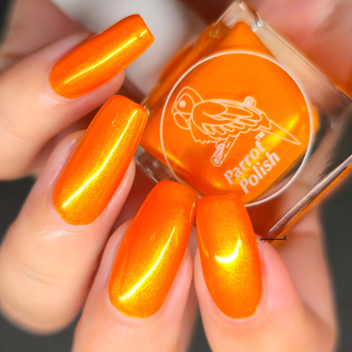 Parrot Polish Pumpkin Spice Shimmer Nail Lacquer Gold/Orange