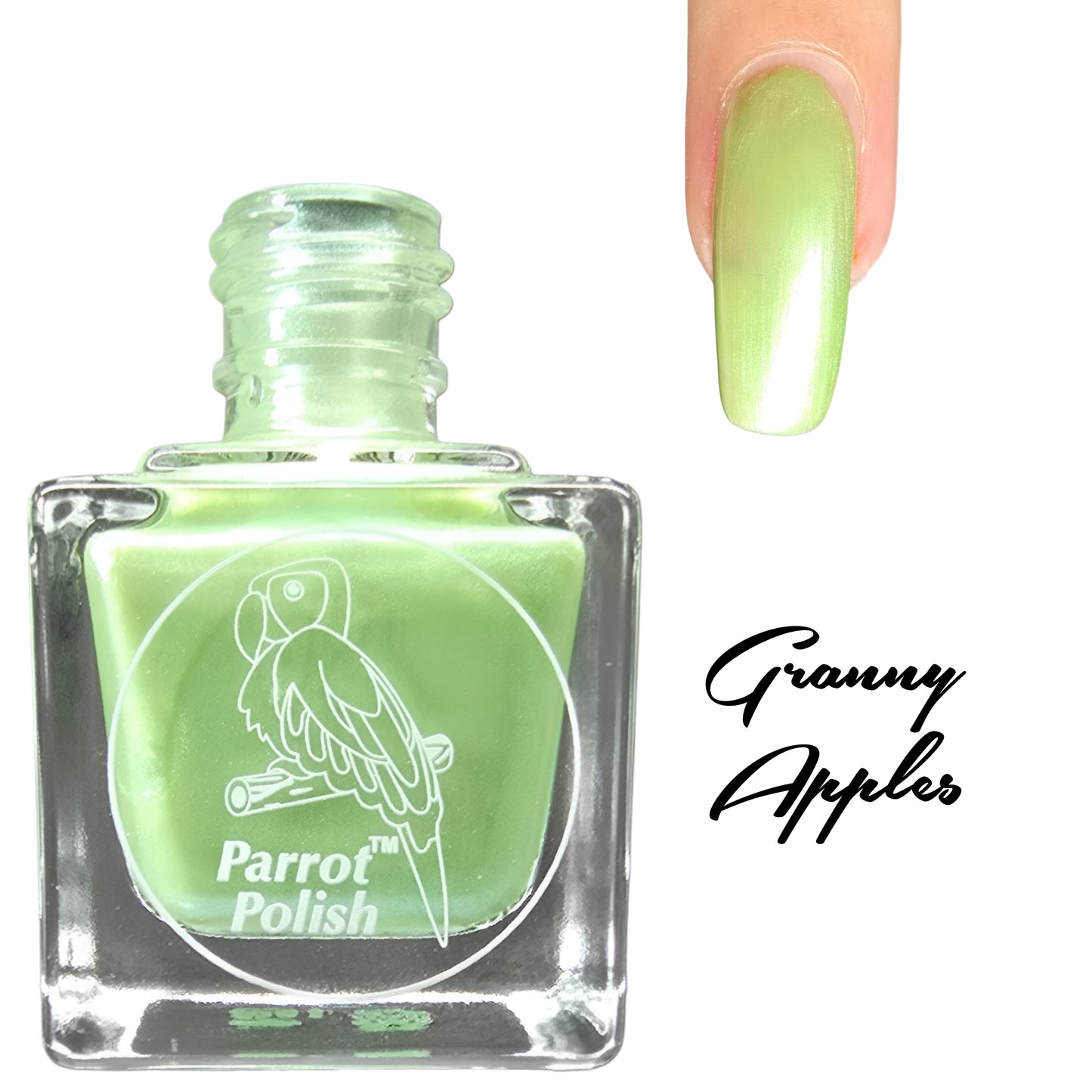 Parrot Polish Fall/ Winter Collection Shimmer Nail Lacquers 9 Total