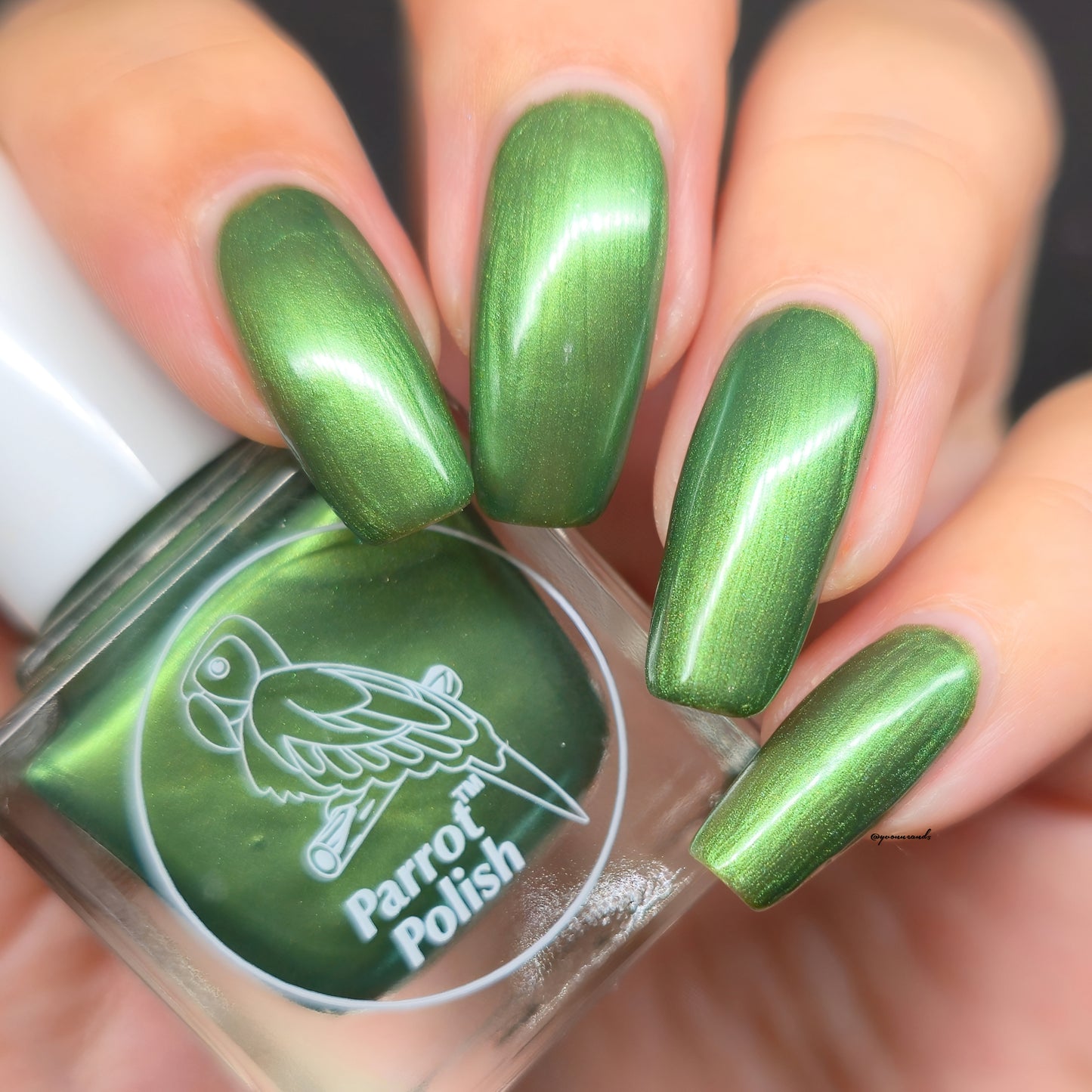 Parrot Polish Olives and Oregano Shimmer Nail Lacquer Green/Silver