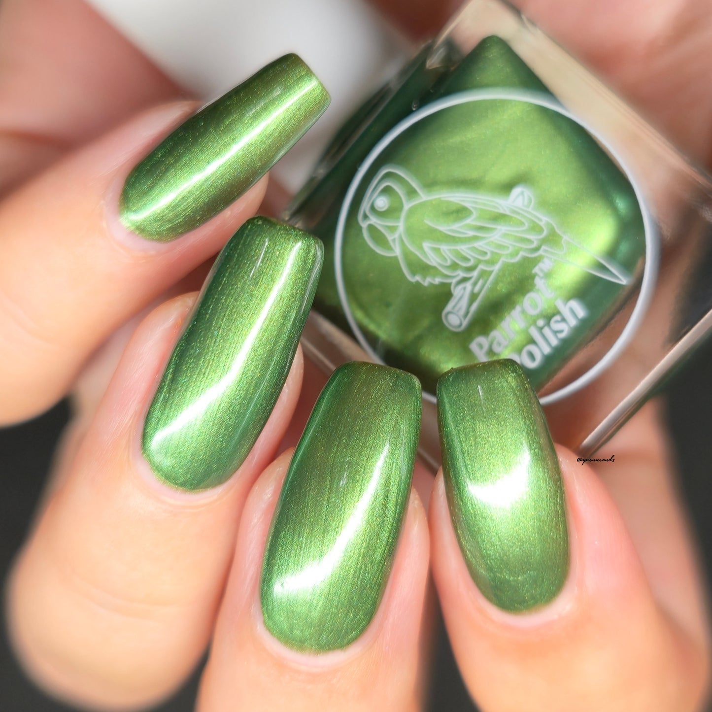 Parrot Polish Olives and Oregano Shimmer Nail Lacquer Green/Silver