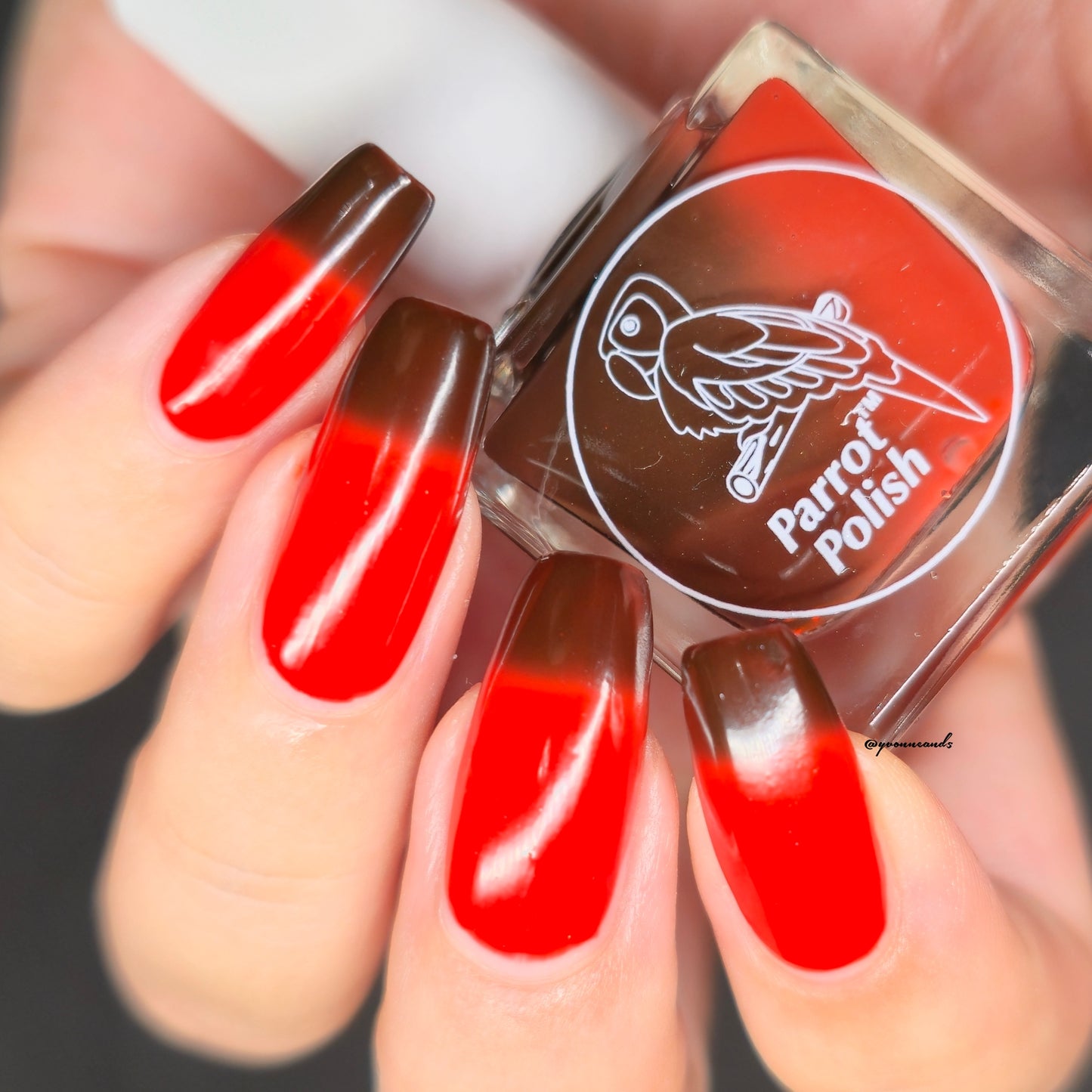 Parrot Polish Chocolate Cosmos Thermal Nail Lacquer Brown/ Red