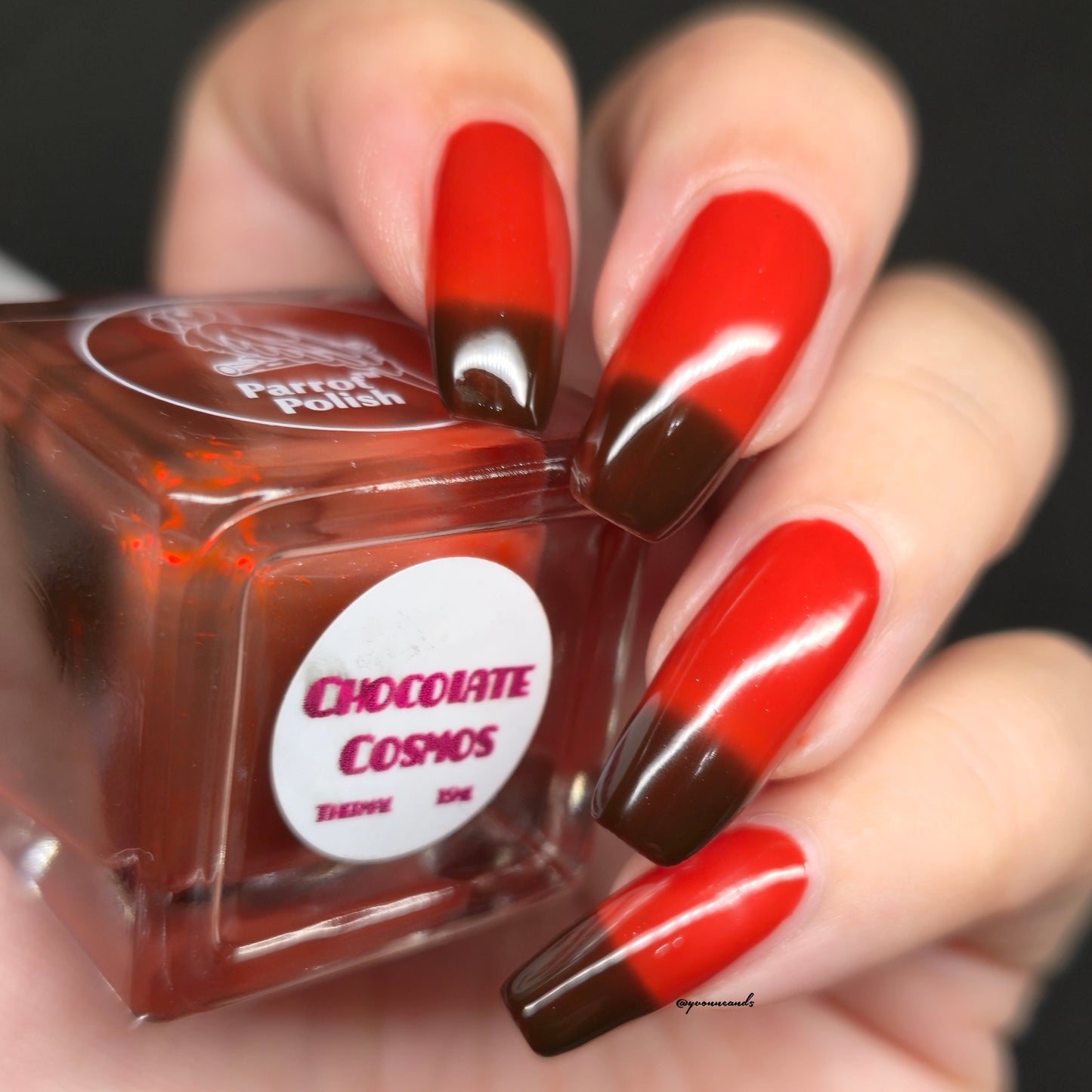 Parrot Polish Chocolate Cosmos Thermal Nail Lacquer Brown/ Red