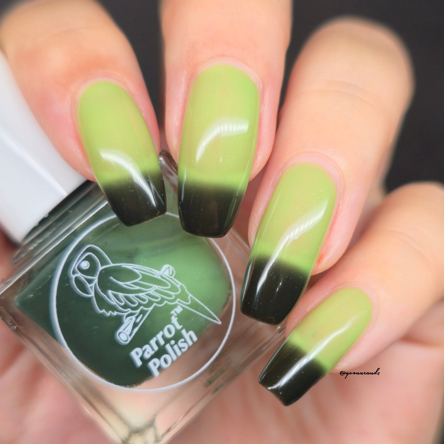 Parrot Polish 4 Leaf Clover Color Changing Thermal Nail Lacquer Black/Green