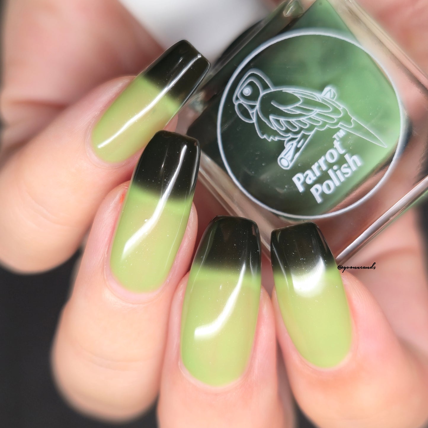 Parrot Polish 4 Leaf Clover Color Changing Thermal Nail Lacquer Black/Green
