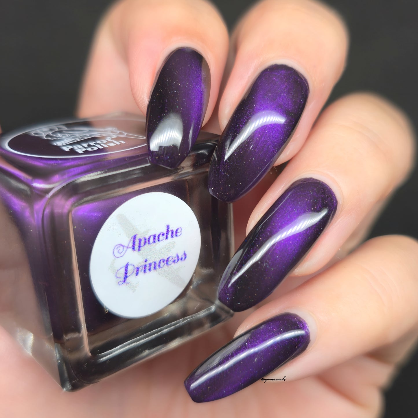 Parrot Polish Apache Princess Magnetic Nail Polish - Purple