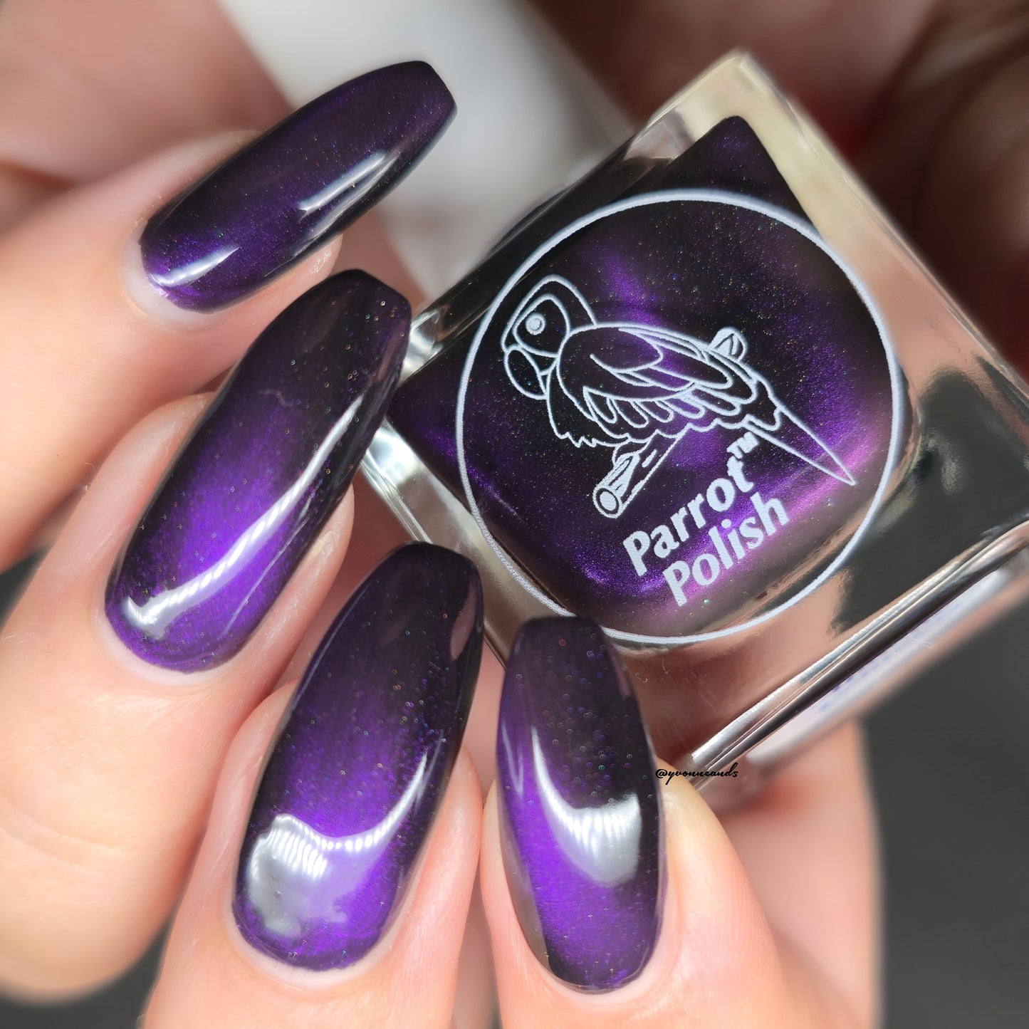 Parrot Polish Apache Princess Magnetic Nail Polish - Purple
