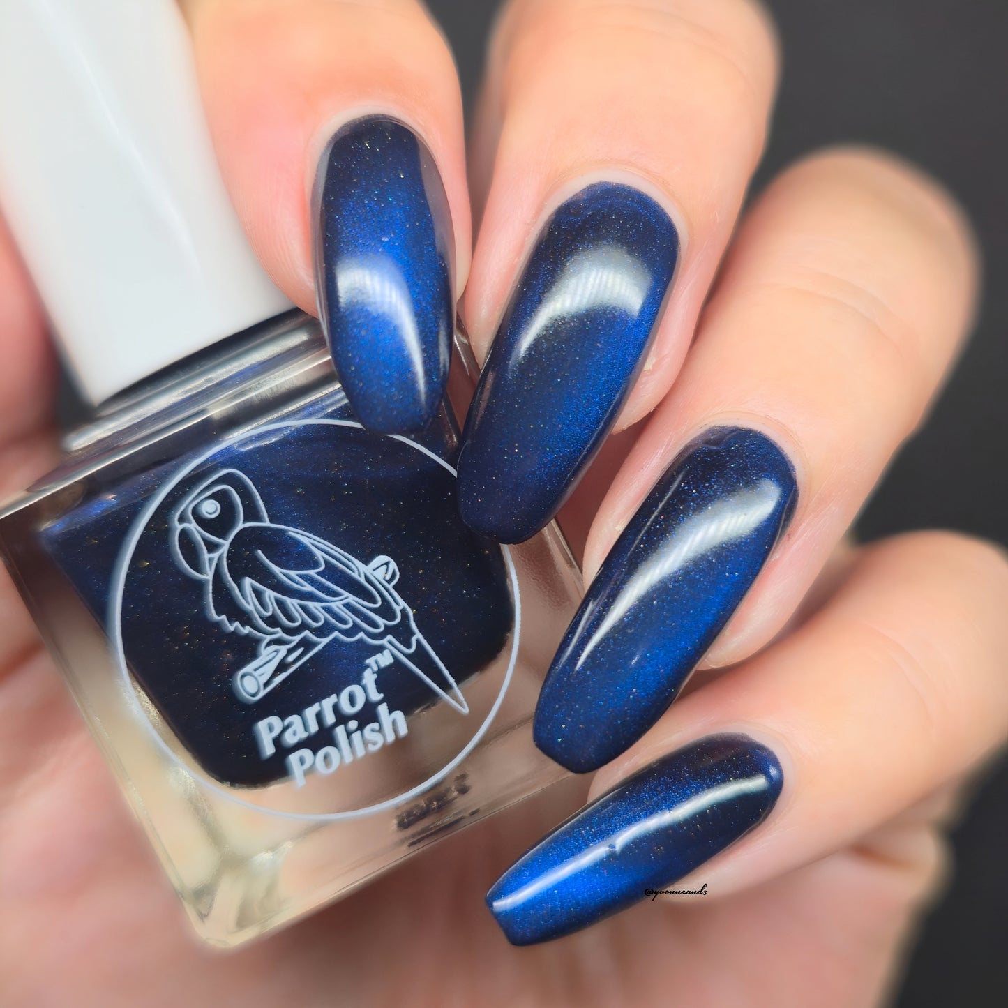 Parrot Polish Heavenly Body Magnetic Nail Polish - Blue