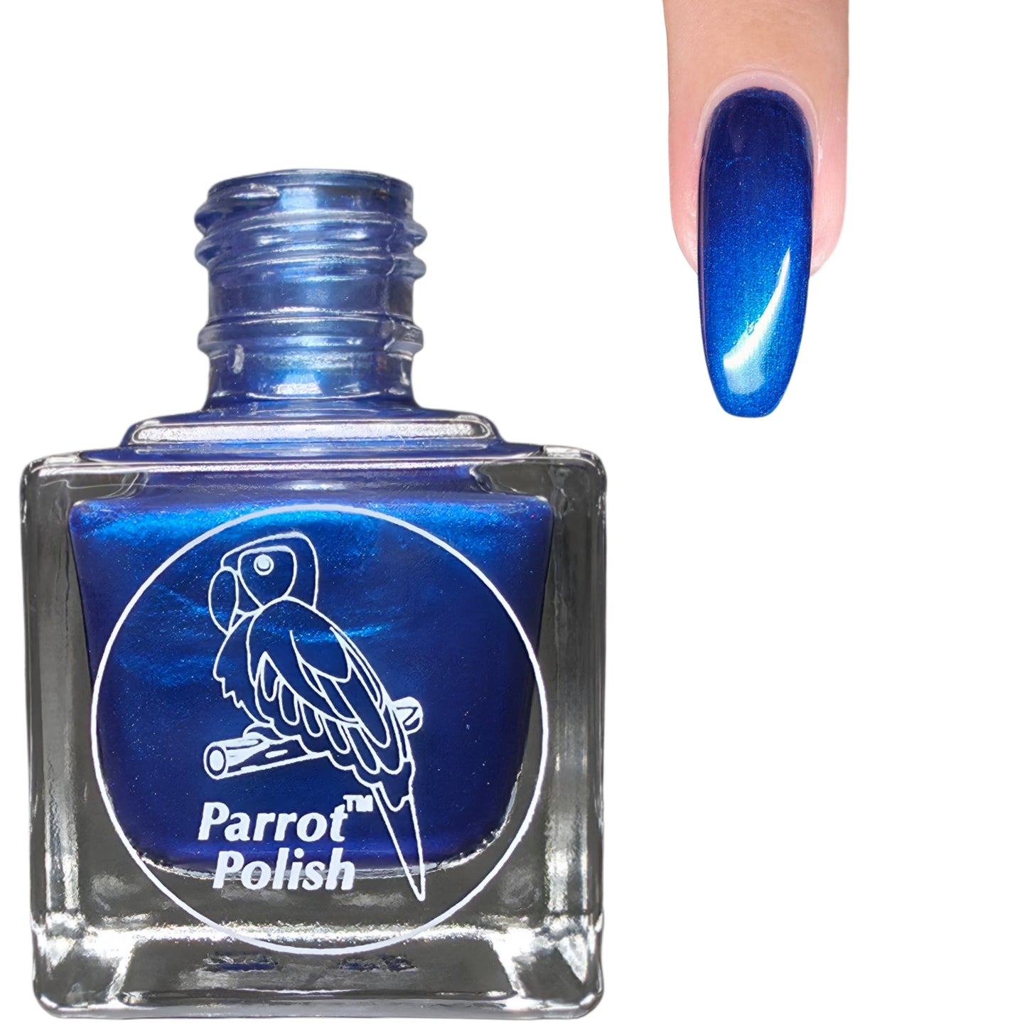 Parrot Polish Royal Splendor Blue Holographic Nail Polish