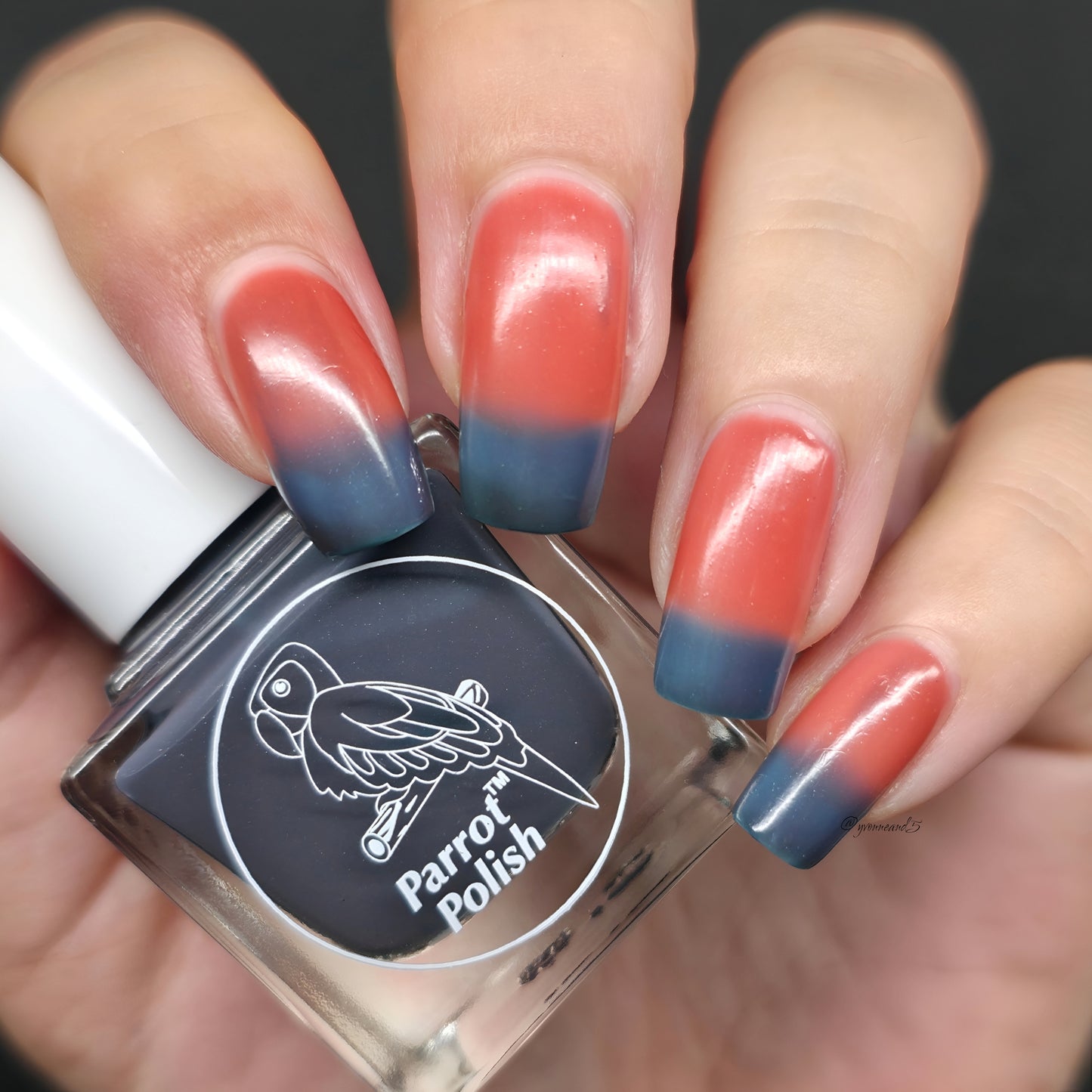 Parrot Polish Galaxy Groove Color Changing Thermal Nail Lacquer   Green/Blue/Orange