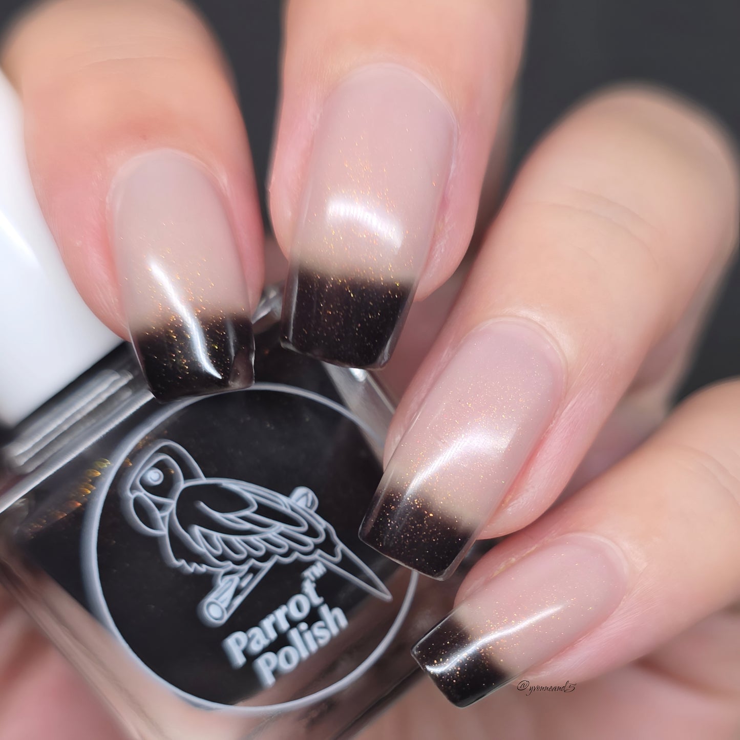 Parrot Polish Darkest Before the Light Color Changing Thermal Nail Lacquer - Black/Grey