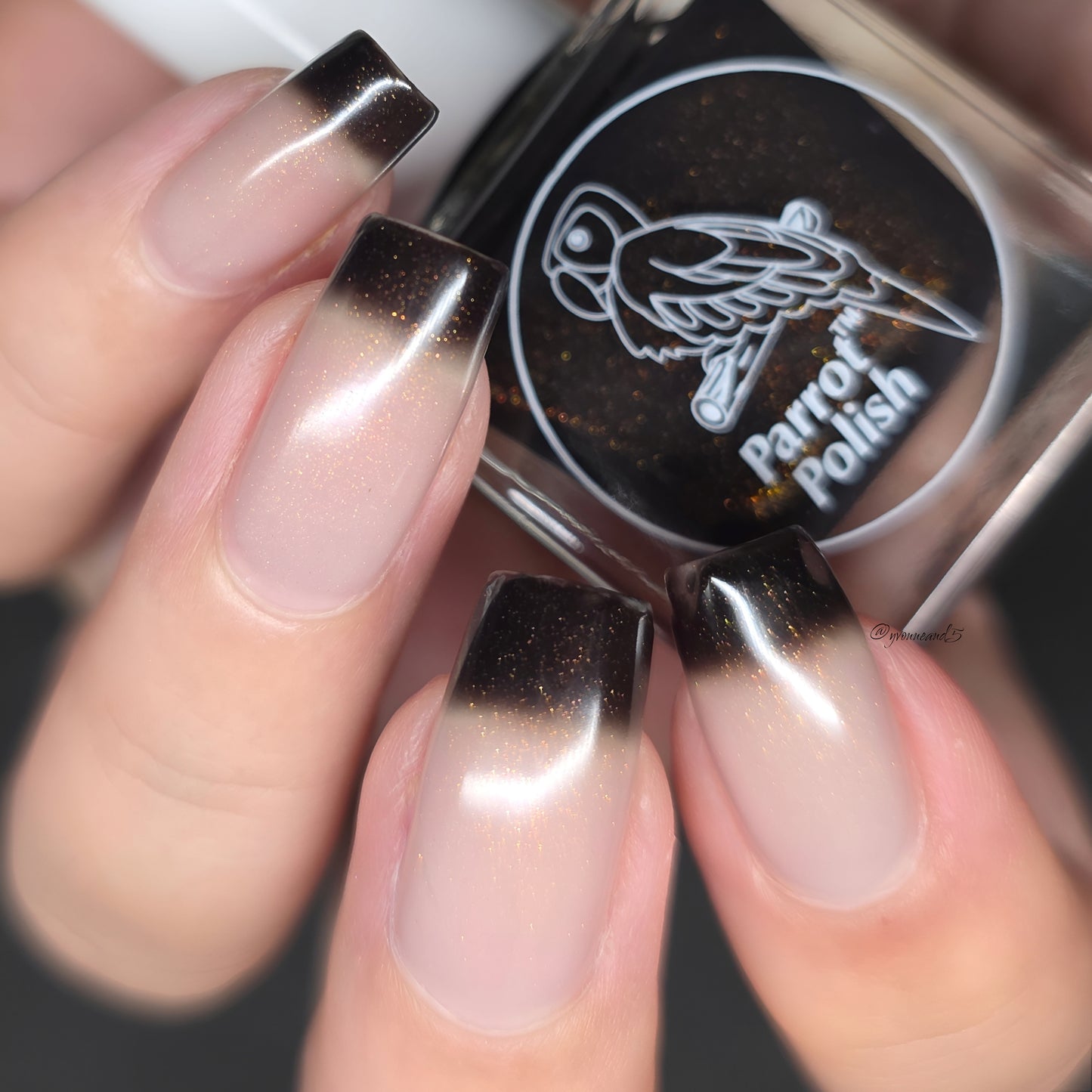 Parrot Polish Darkest Before the Light Color Changing Thermal Nail Lacquer - Black/Grey