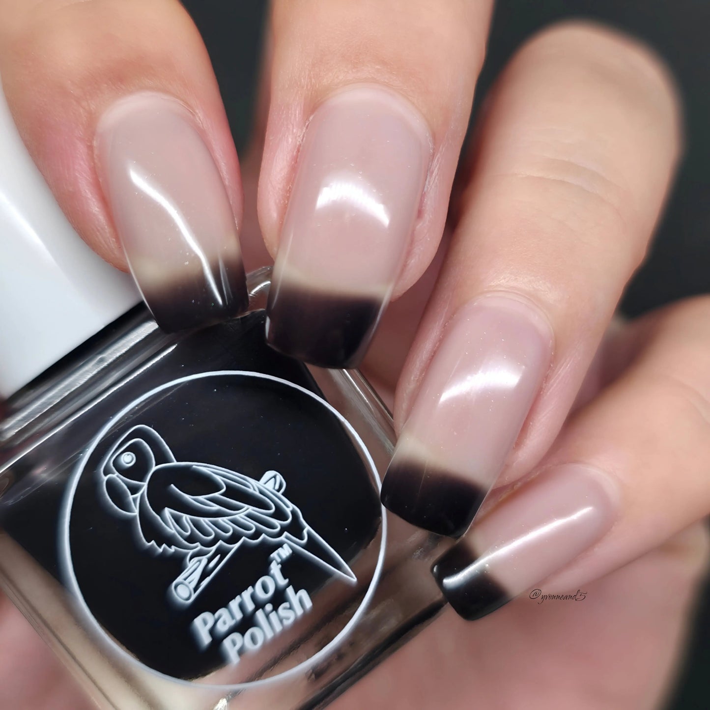 Parrot Polish Black Magic Color Changing Thermal Nail Lacquer - Black/Grey