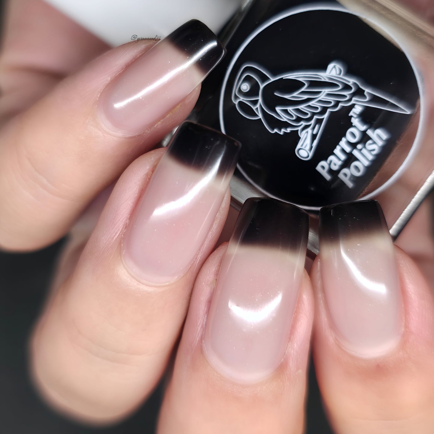 Parrot Polish Black Magic Color Changing Thermal Nail Lacquer - Black/Grey