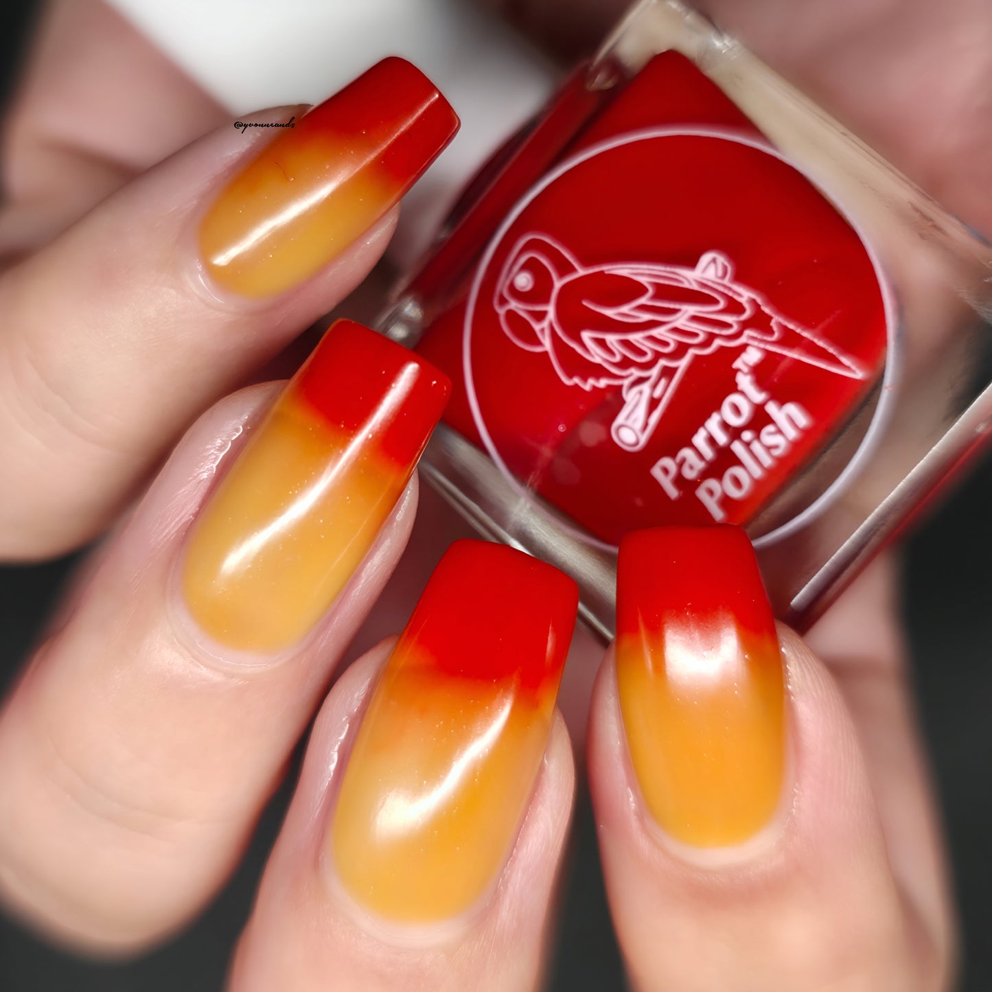 Parrot Polish Fall Feelings Color Changing Thermal Nail Lacquer Nail Polish - Burgundy/Red/Yellow