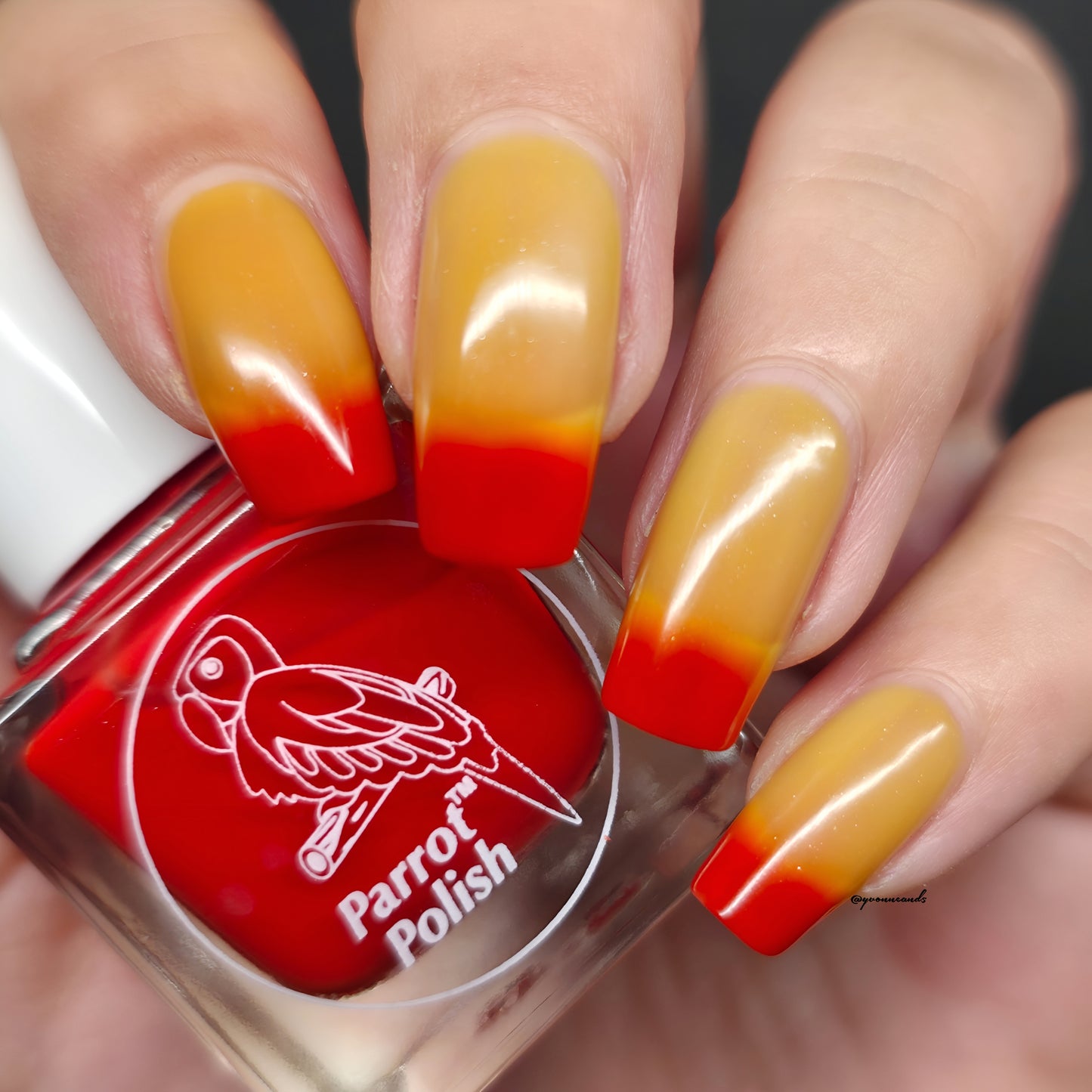 Parrot Polish Fall Feelings Color Changing Thermal Nail Lacquer Nail Polish - Burgundy/Red/Yellow