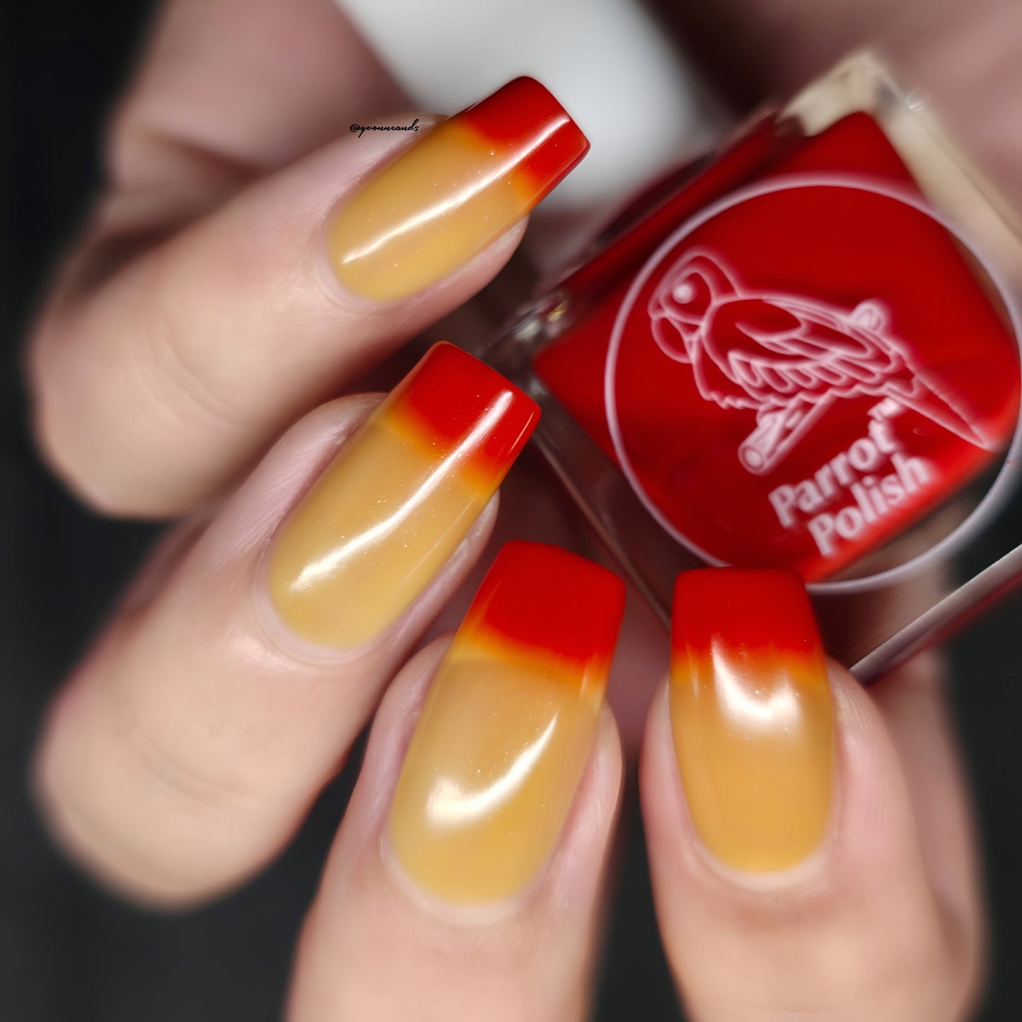 Parrot Polish Fall Feelings Color Changing Thermal Nail Lacquer Nail Polish - Burgundy/Red/Yellow