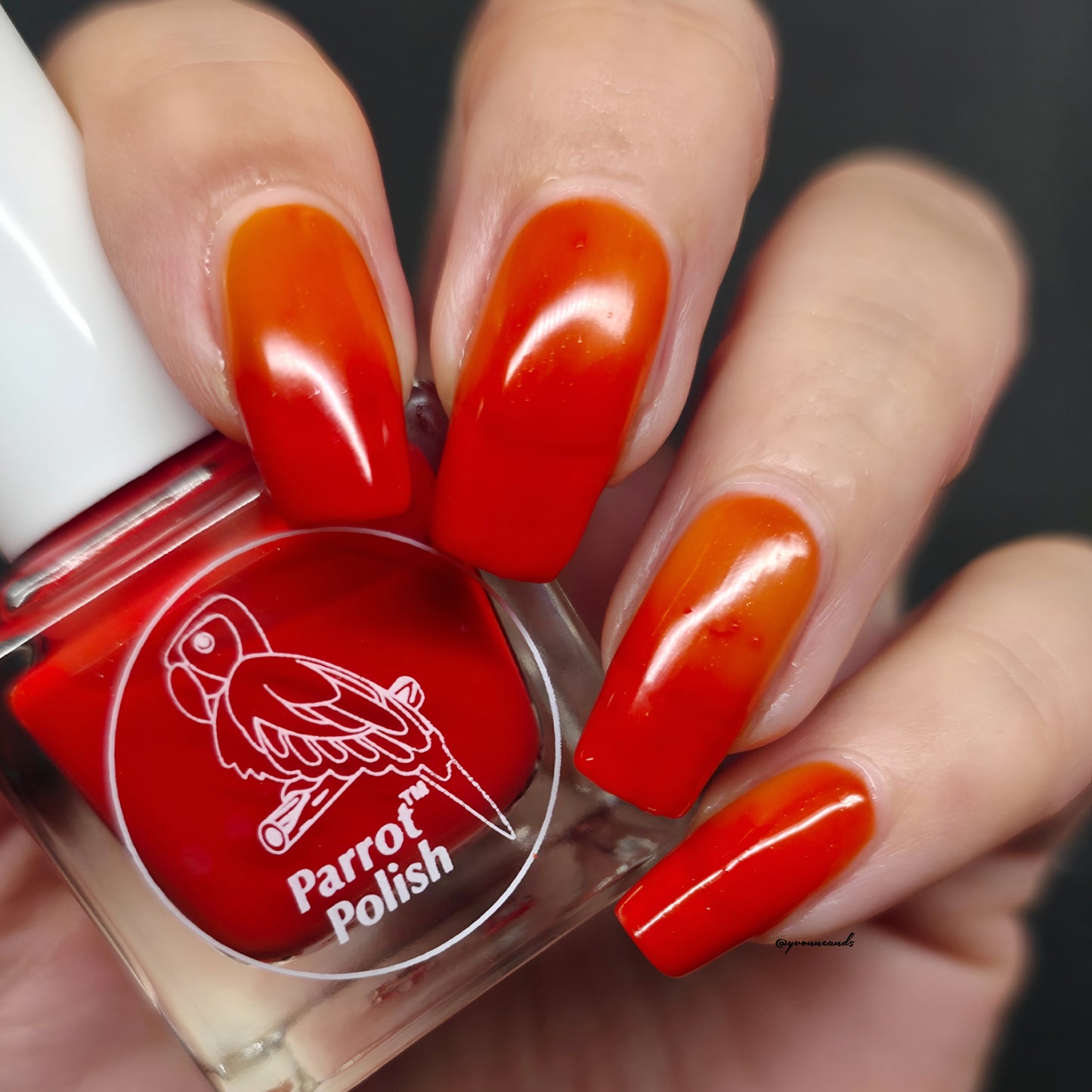 Parrot Polish Fall Feelings Color Changing Thermal Nail Lacquer Nail Polish - Burgundy/Red/Yellow