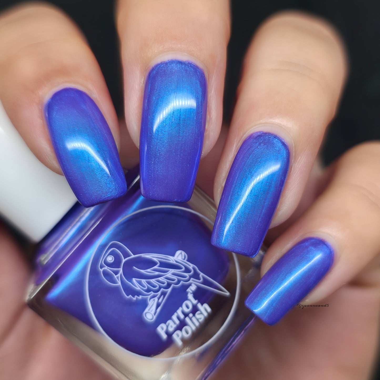 Parrot Polish Mountain Laurel Mutilchrome Shimmer Nail Lacquer Purple Blue