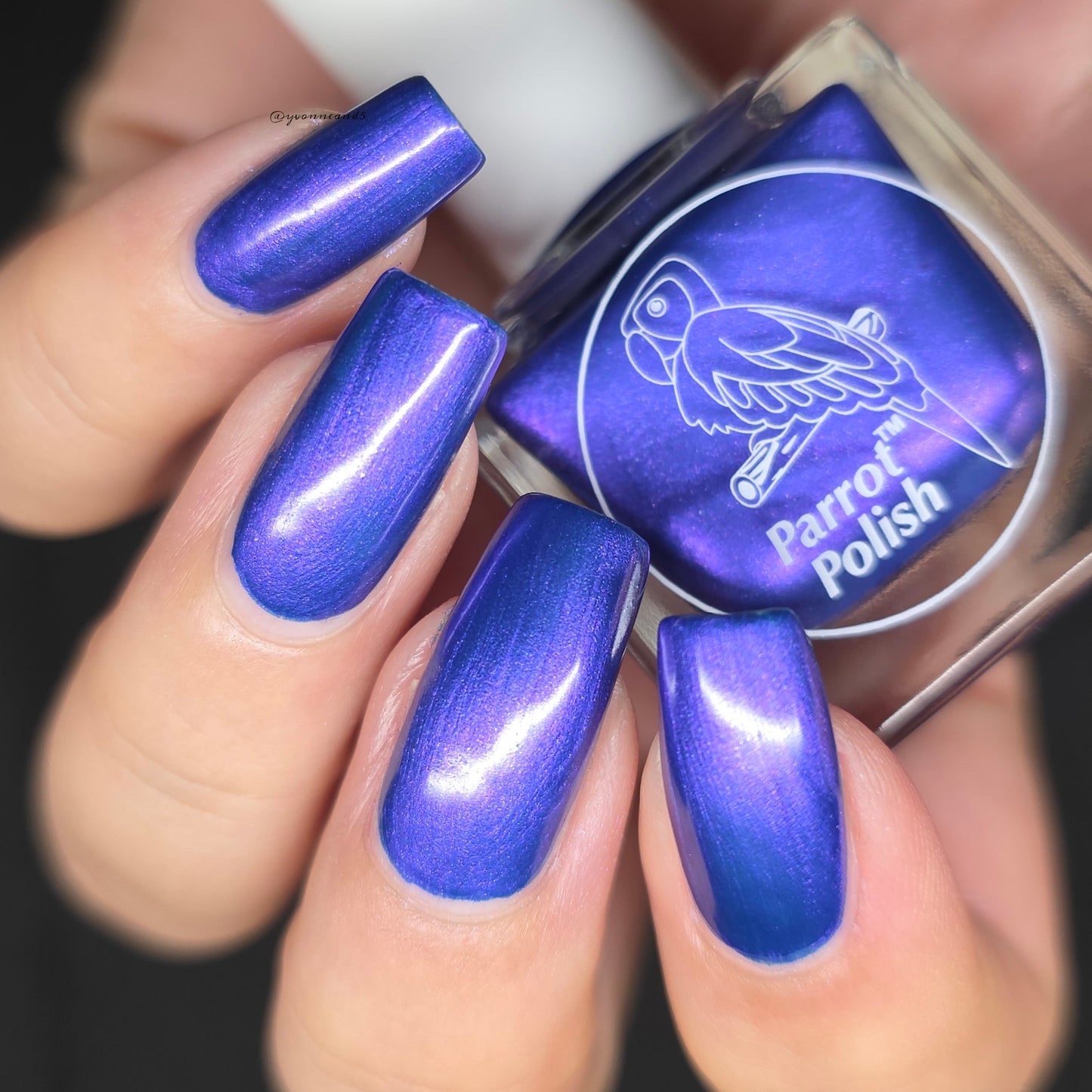 Parrot Polish Catalina Sunset Mutilchrome Shimmer Nail Lacquer Purple Blue